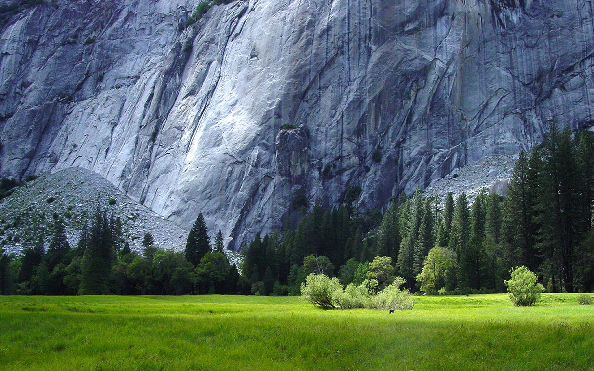 General 1920x1200 valley mountains cliff trees landscape Yosemite National Park