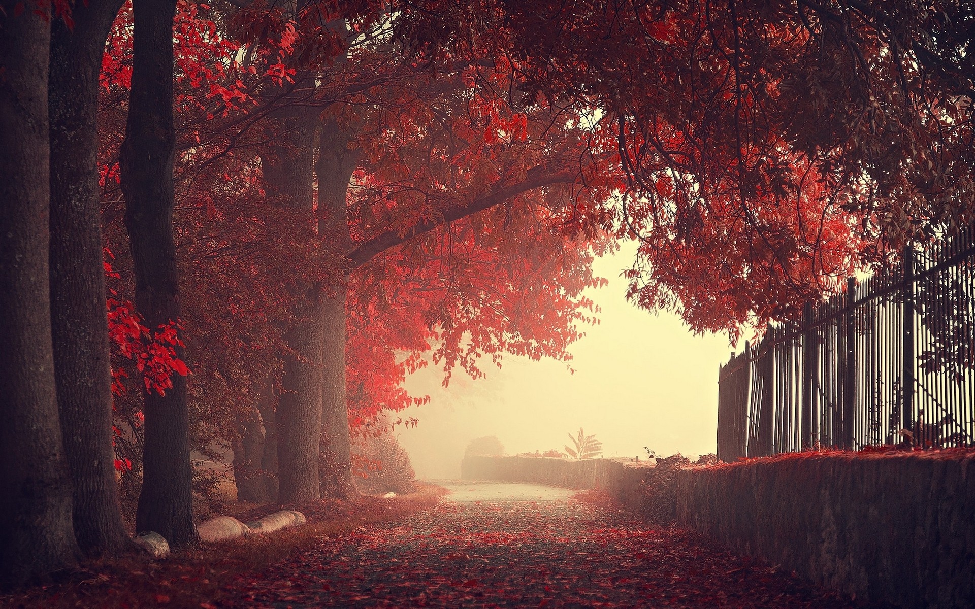 General 1920x1200 fall fence trees wall mist leaves red park path plants outdoors
