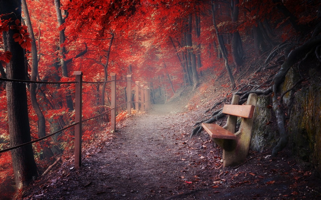 General 1300x812 nature landscape fall path bench fence forest water drops roots mountains mist red