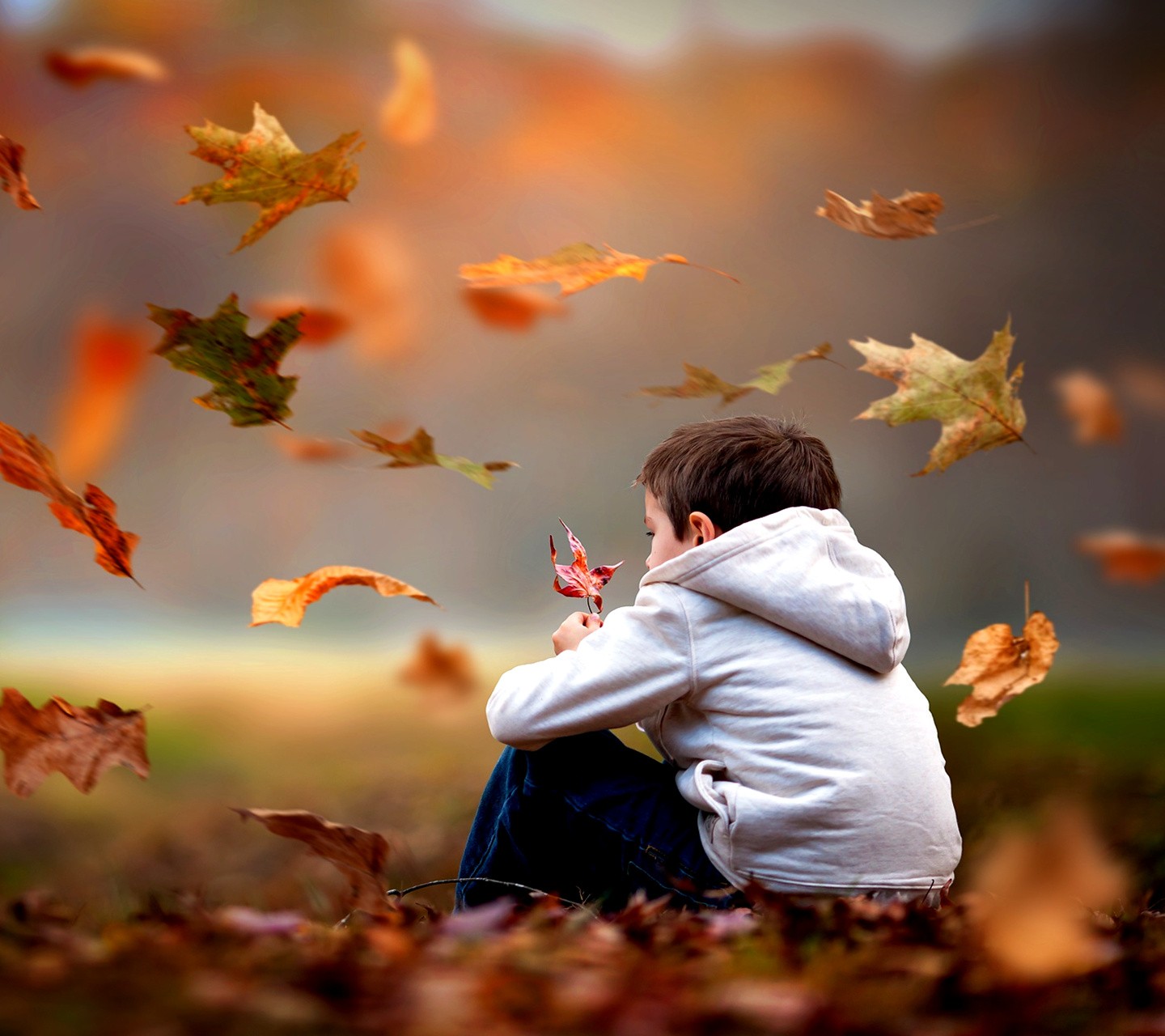 People 1440x1280 leaves children fall outdoors fallen leaves