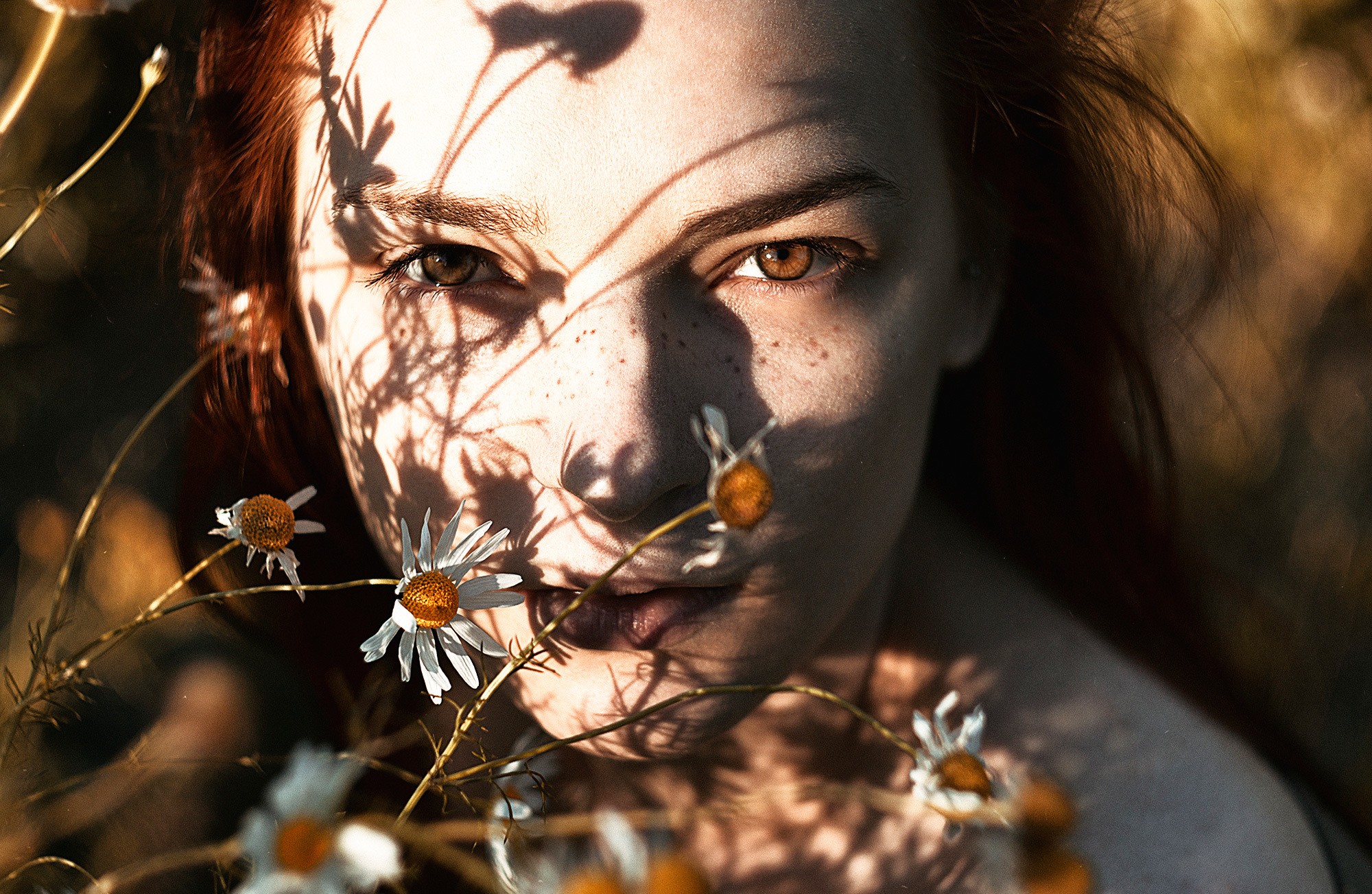 People 2000x1303 women model face sunlight women outdoors freckles daisies brown eyes pale closeup looking at viewer plants