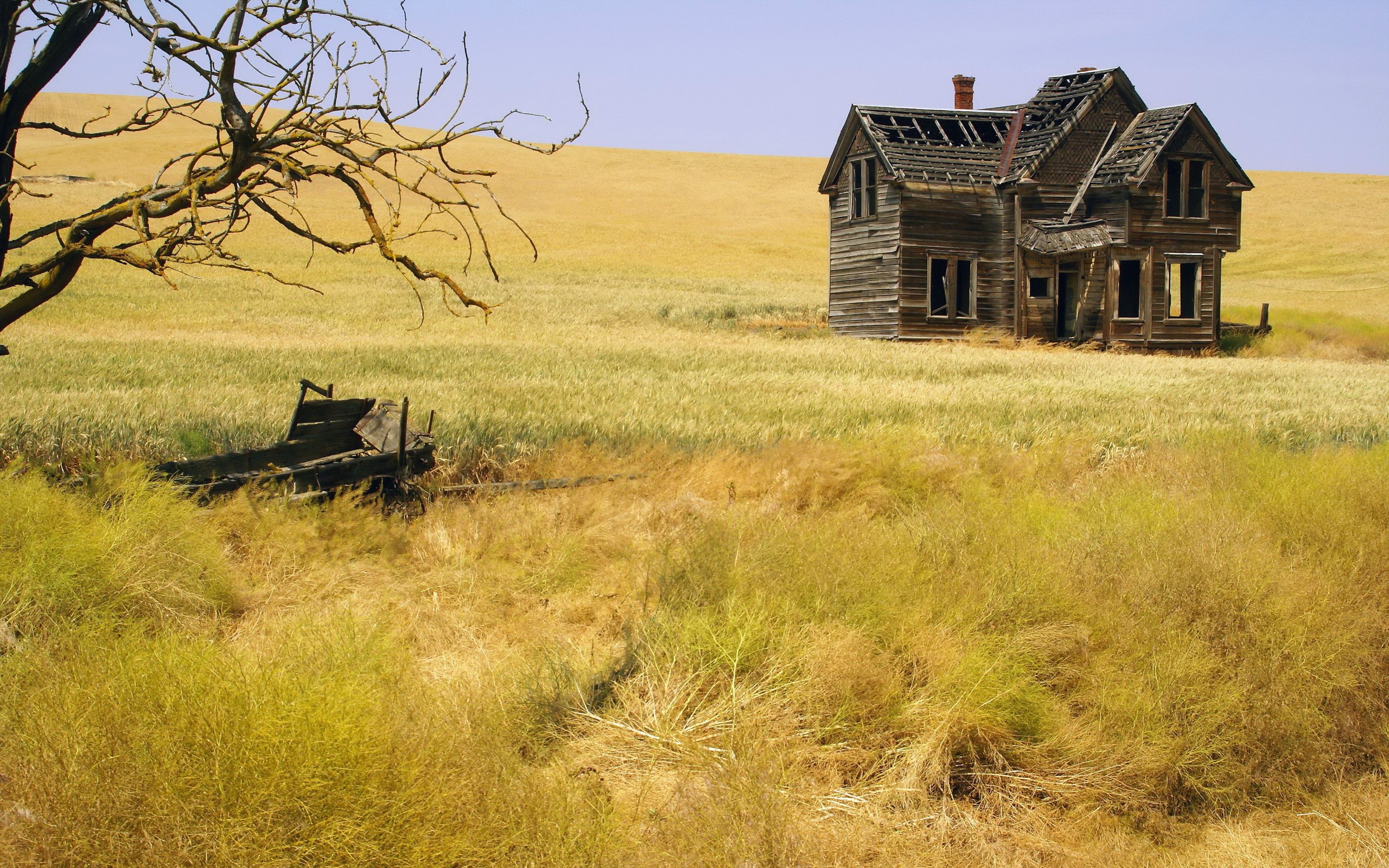 General 2560x1600 abandoned wood house haunted mansion landscape ruins hay yellow outdoors