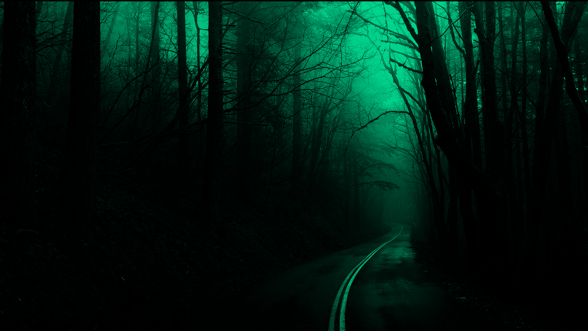 General 1920x1080 spooky night dark green road forest deep forest mist