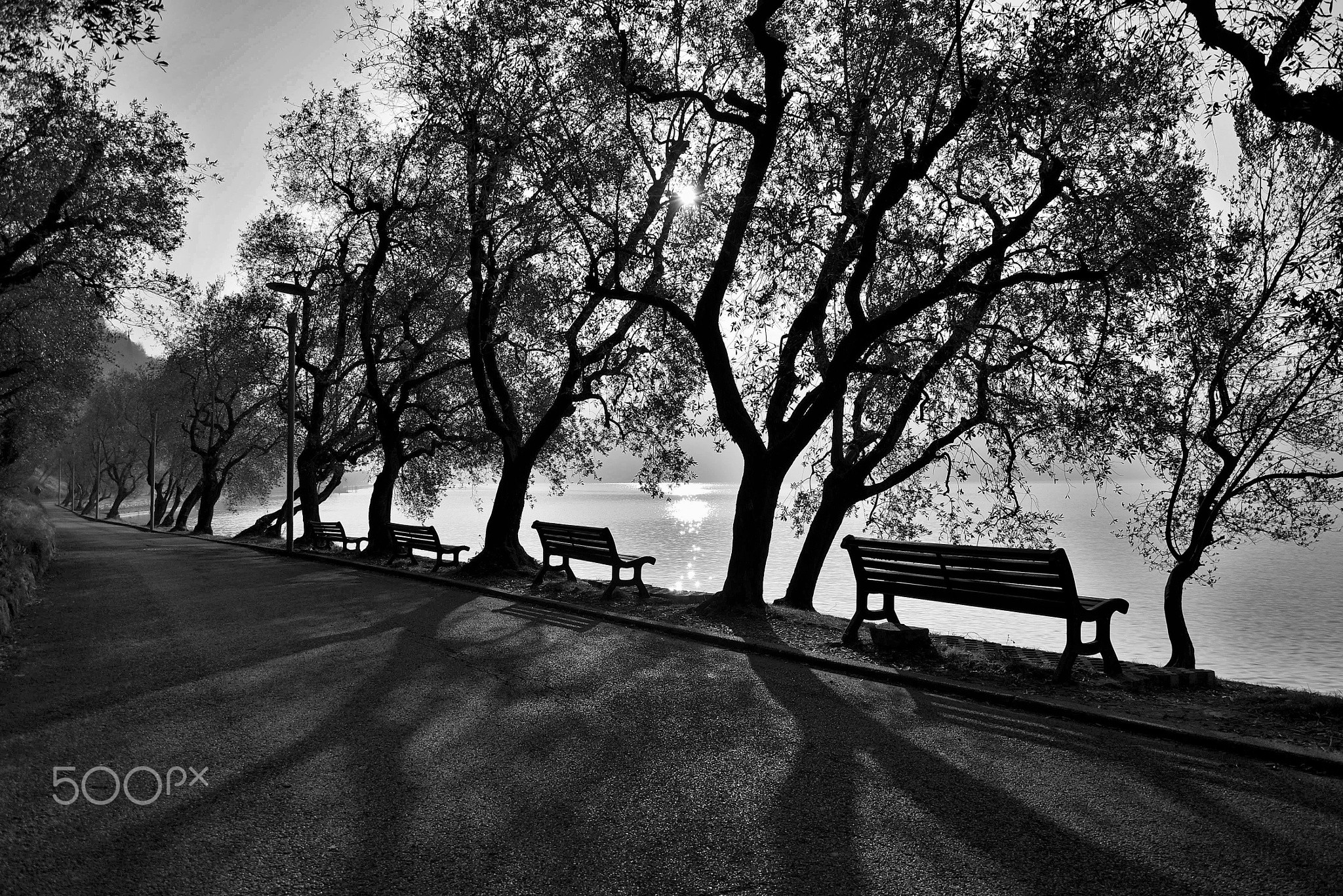 General 2048x1367 monochrome 500px bench outdoors lake watermarked trees