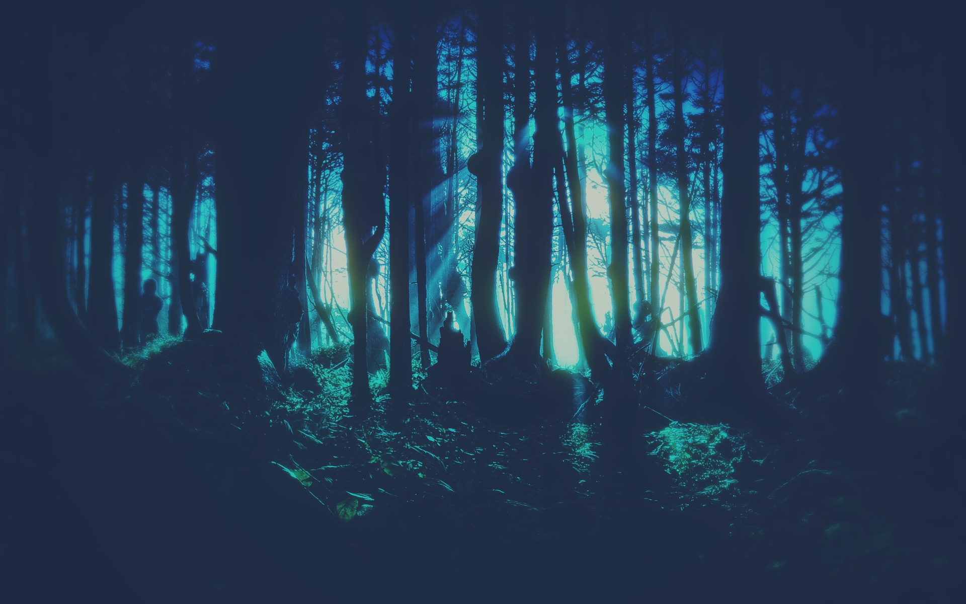 Лес глубокой ночью
