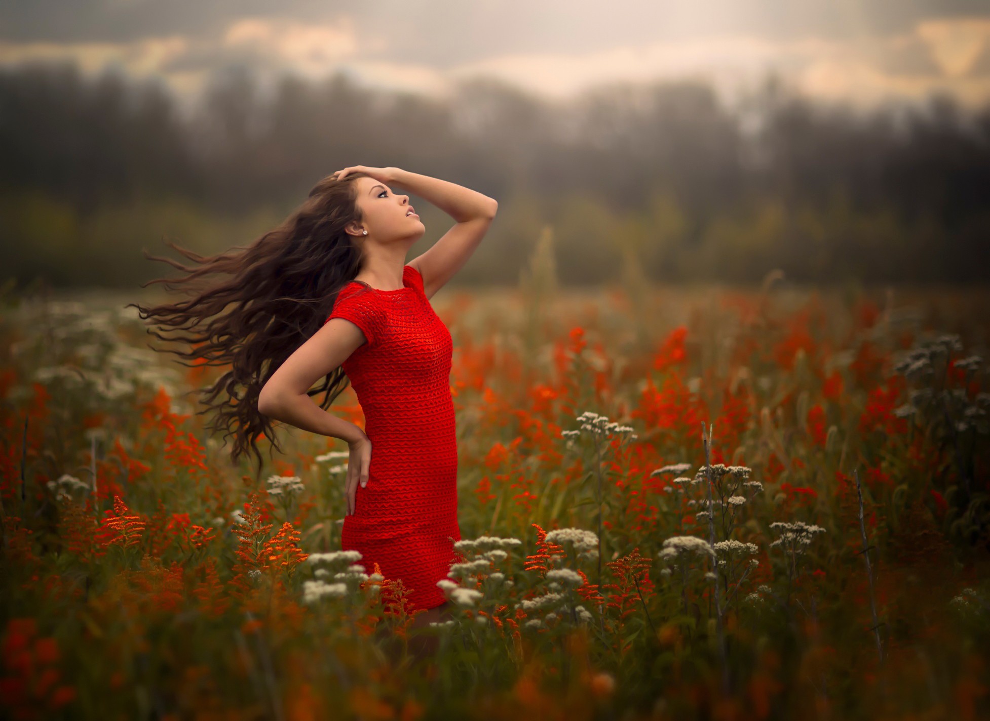 People 1954x1425 women nature women outdoors brunette windy red dress Jake Olson long hair flowers plants field outdoors dress standing looking up red flowers arms up