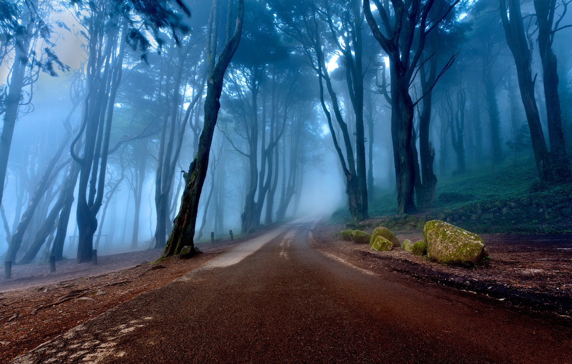 General 1920x1223 nature landscape trees forest mist road Portugal stones moss roots morning rocks