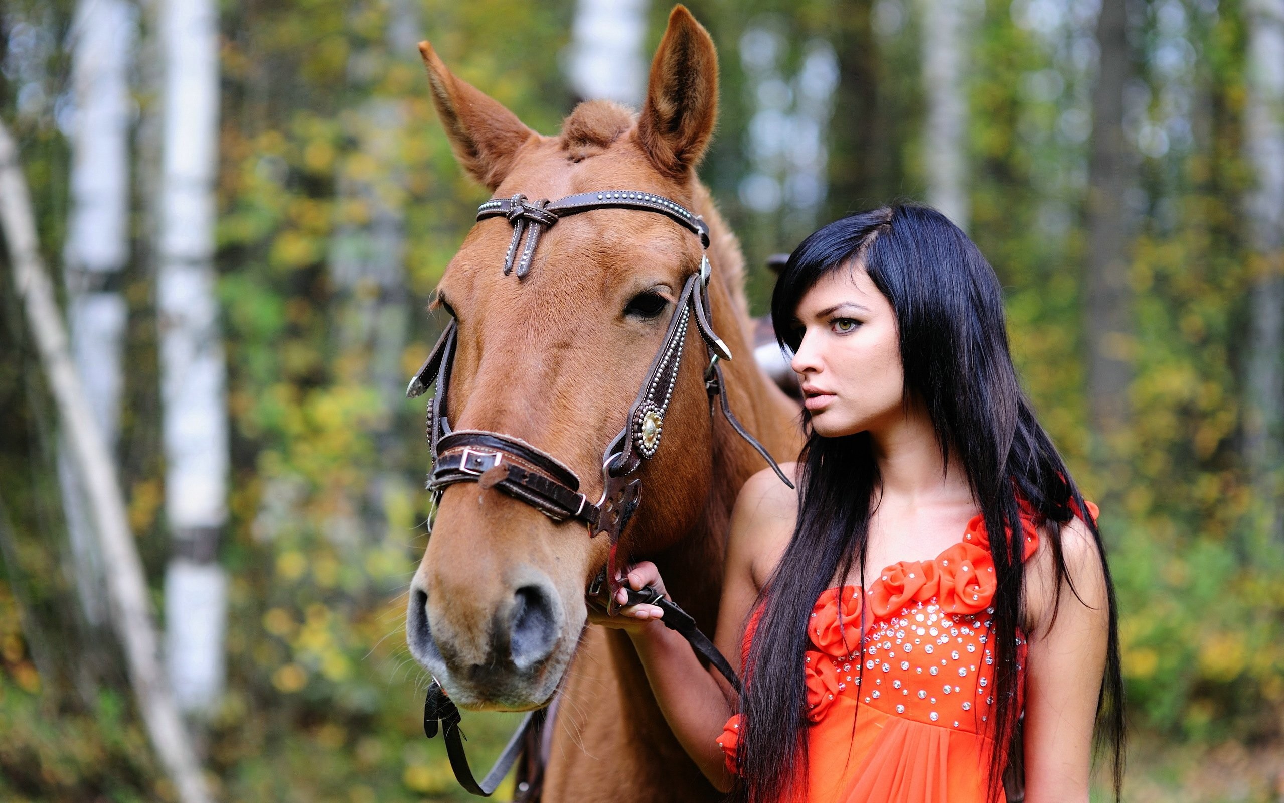 People 2560x1600 women brunette horse animals long hair