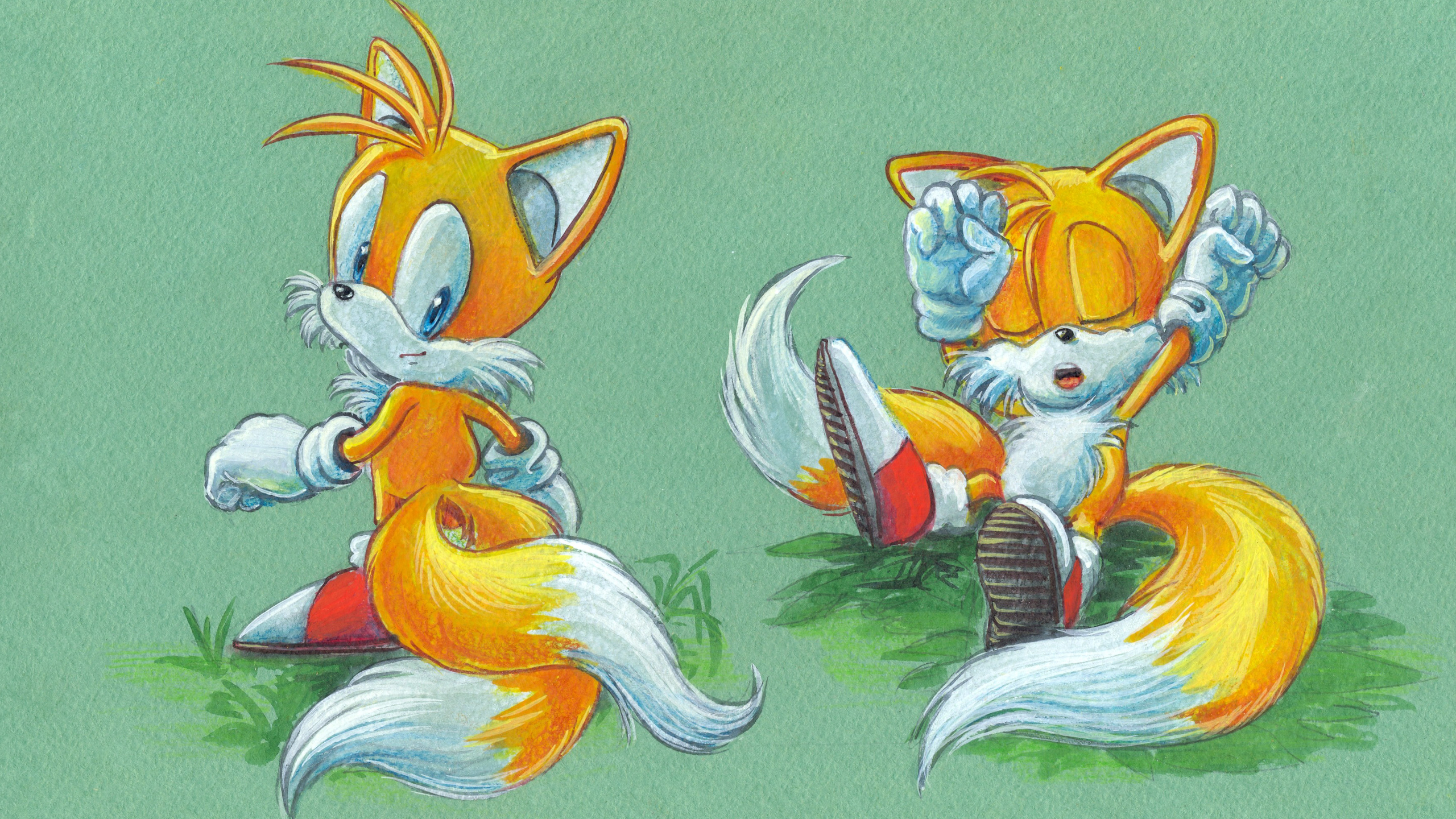 General 2560x1440 video games Sonic the Hedgehog Tails (character) fox video game art Sonic 3 Sonic 2 tail Sega artwork Anthro video game characters