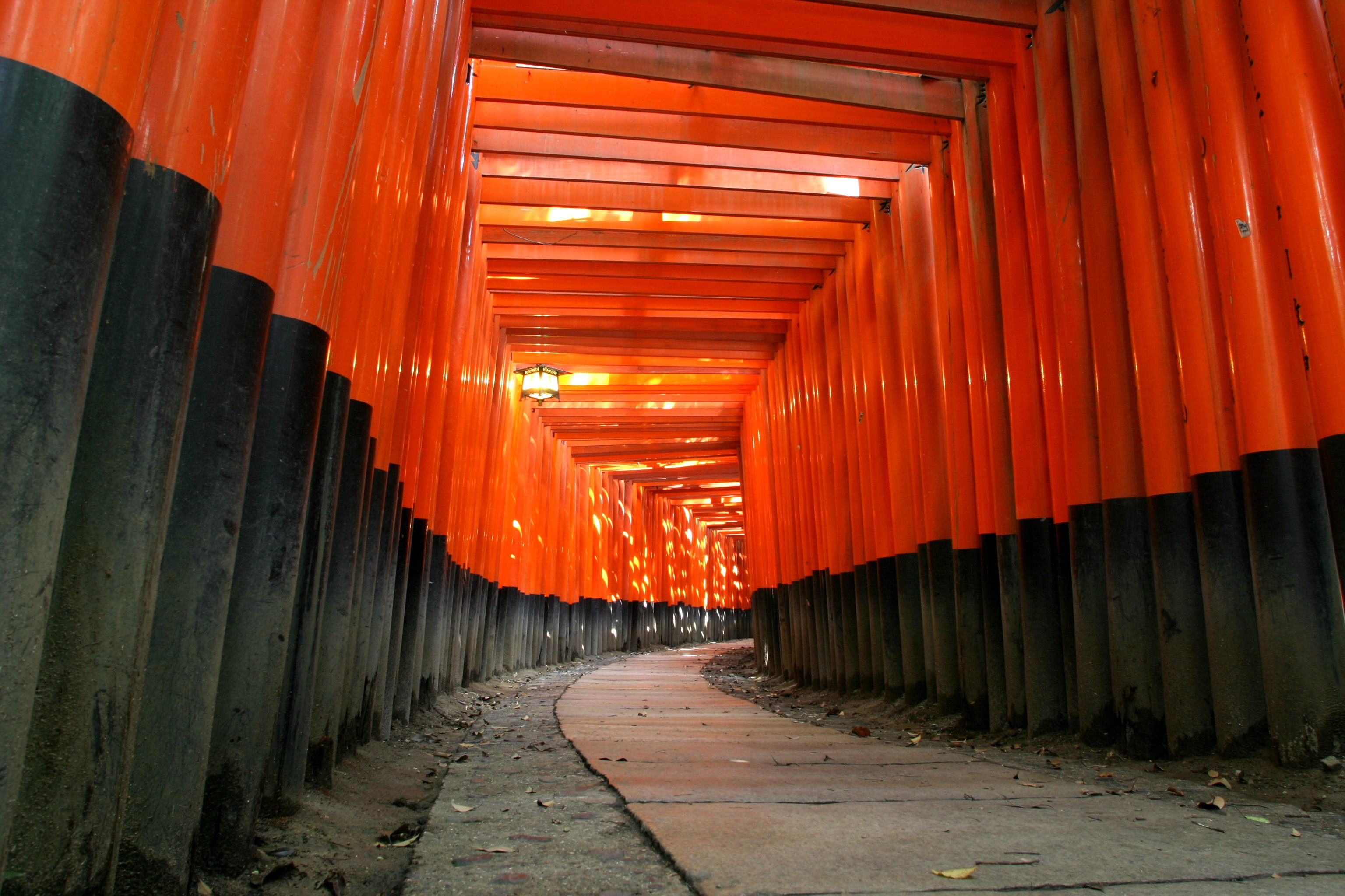 General 3072x2048 orange torii path Japan Asia Fushimi Inari-taisha