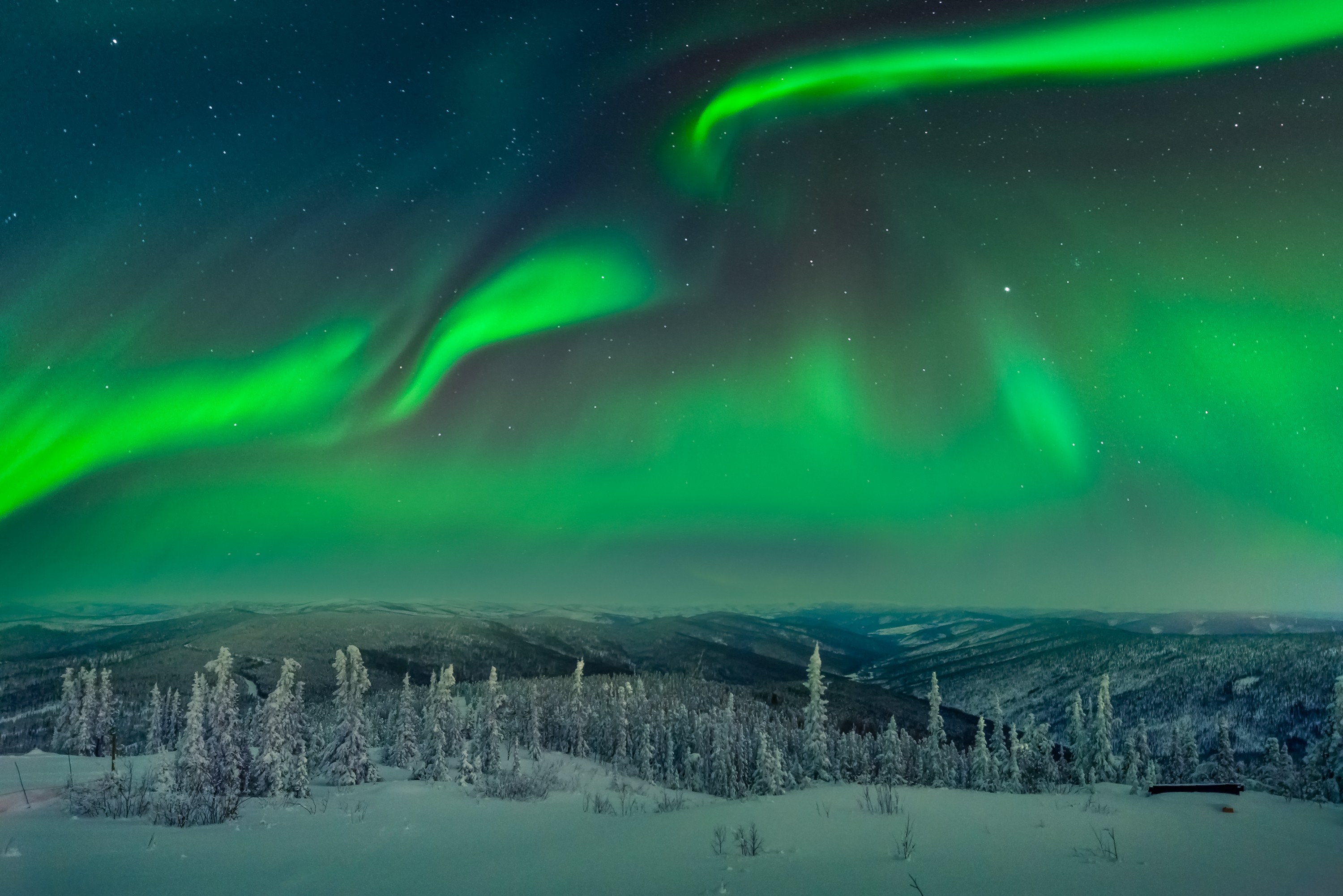 General 3000x2002 trees landscape snow aurorae nordic landscapes sky stars winter cold nature