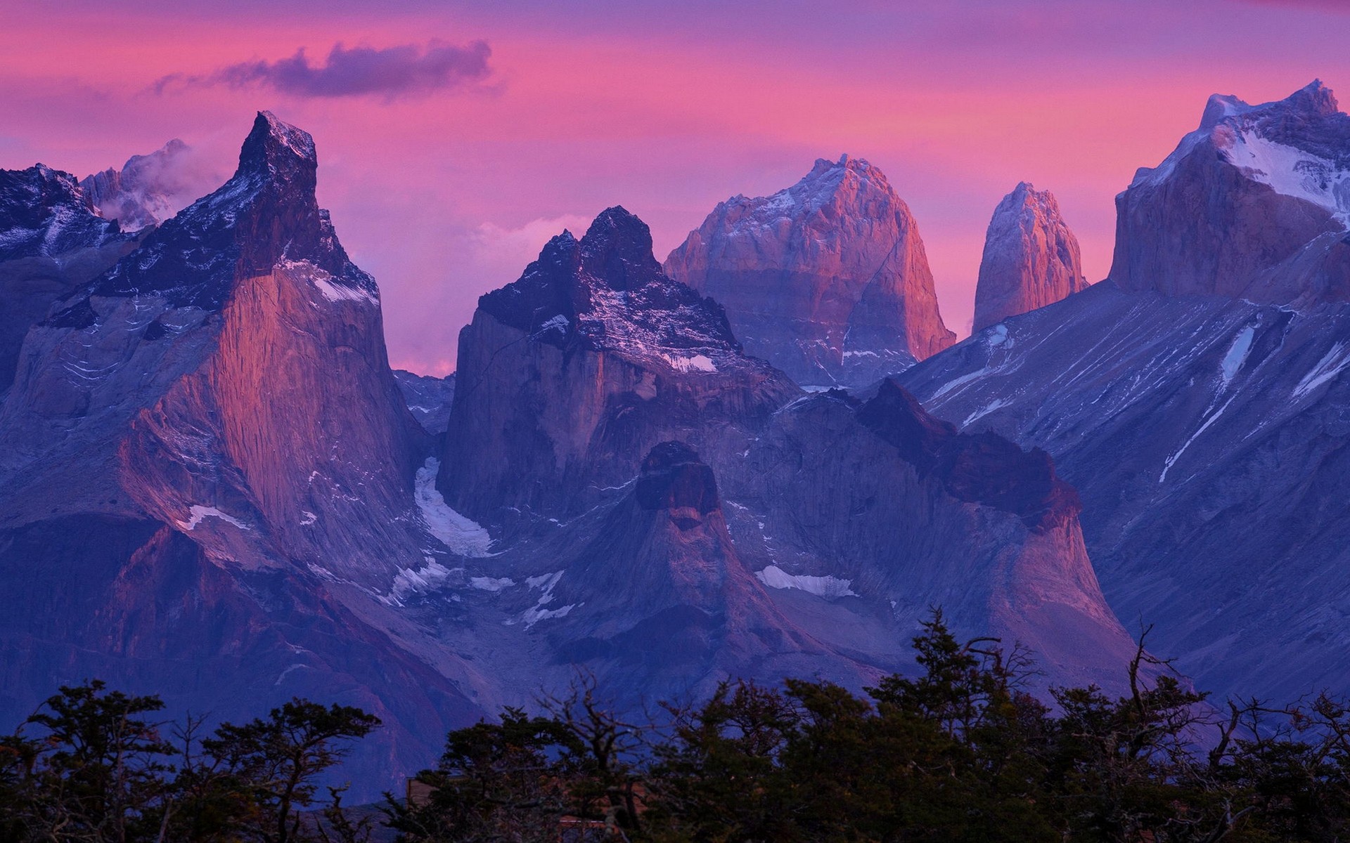 General 1920x1200 nature landscape Patagonia mountains Torres del Paine Chile forest South America Cuernos del Paine