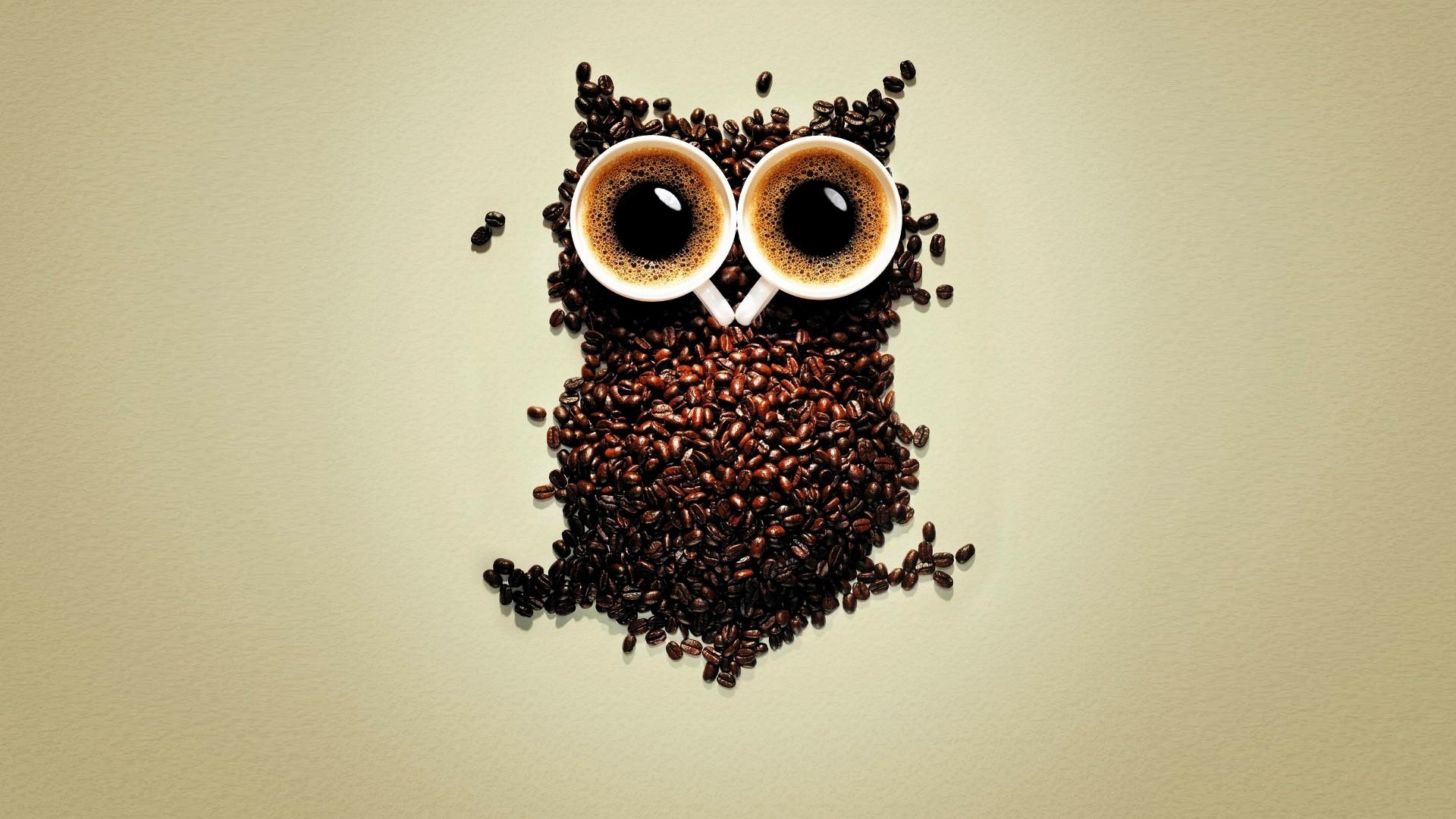 General 1920x1080 coffee coffee beans owl digital art simple background animals abstract food birds cropped