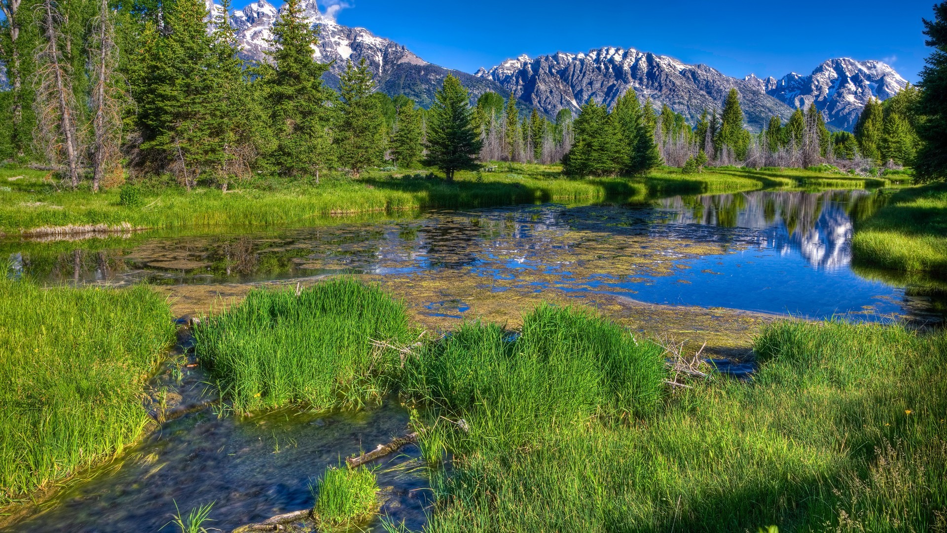 General 1920x1080 landscape water nature mountains trees grass