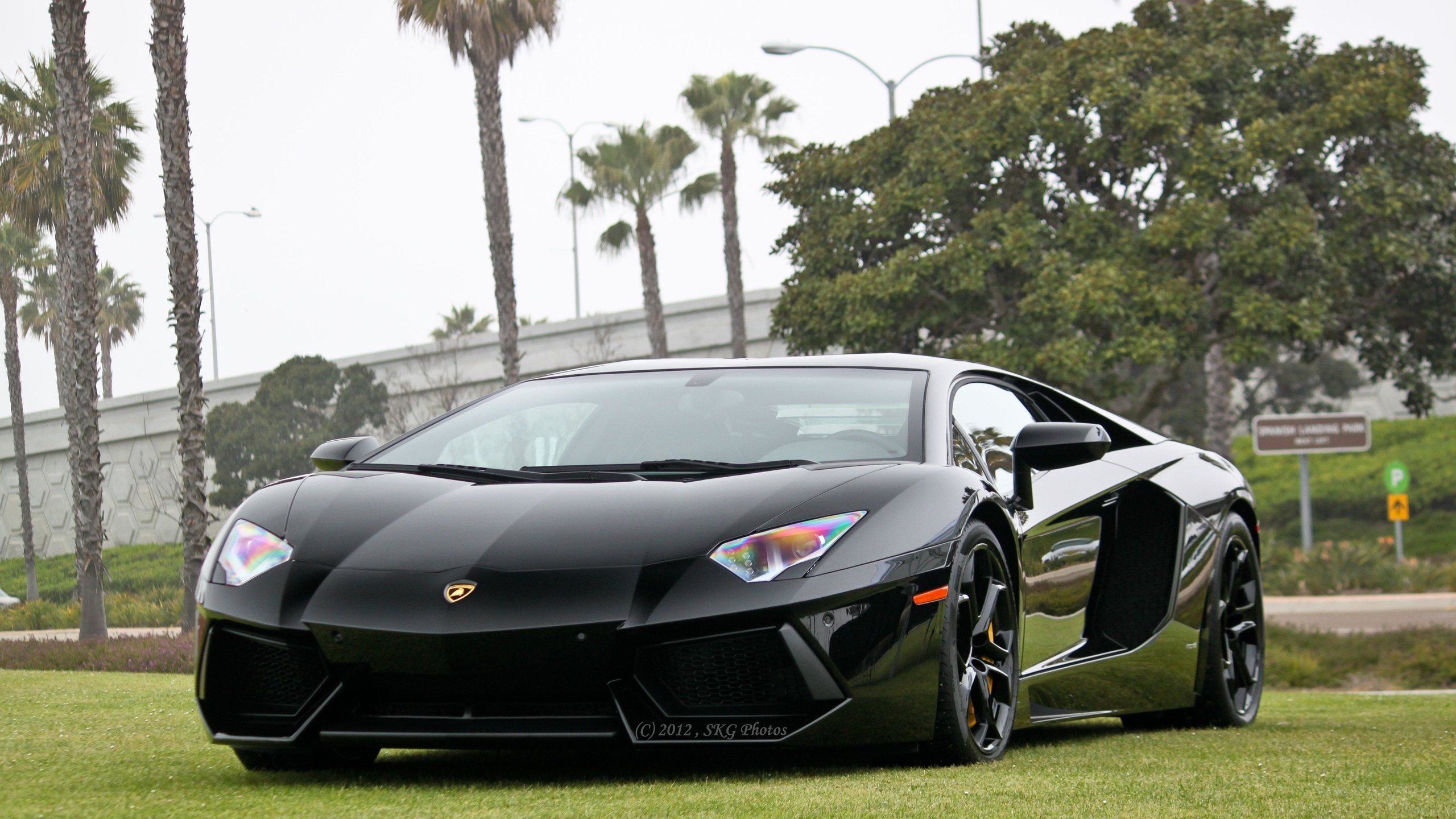 General 2560x1440 Lamborghini Aventador car vehicle black cars Lamborghini 2012 (Year)