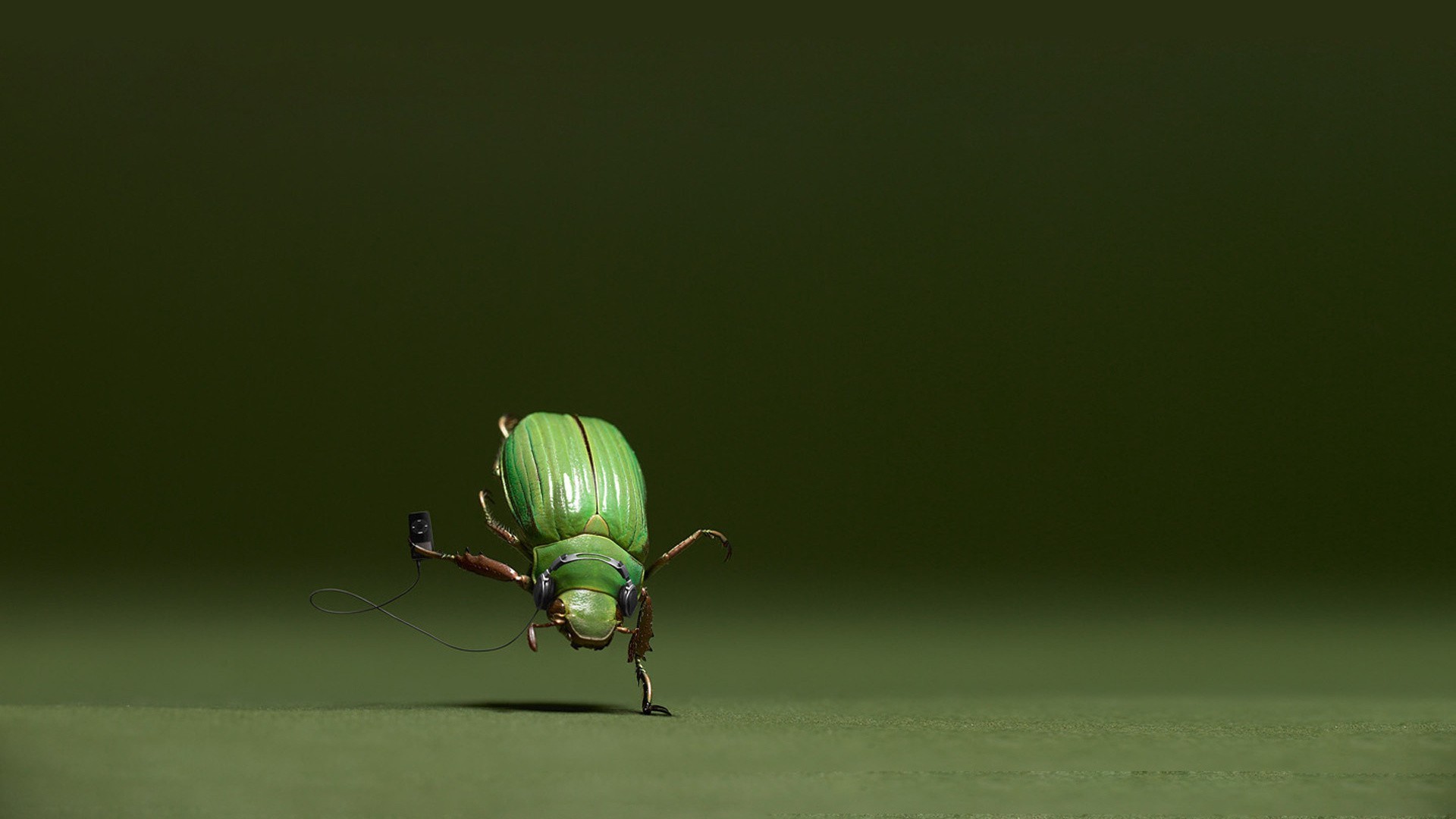 General 1920x1080 green insect macro animals digital art humor iPod green background CGI beetles