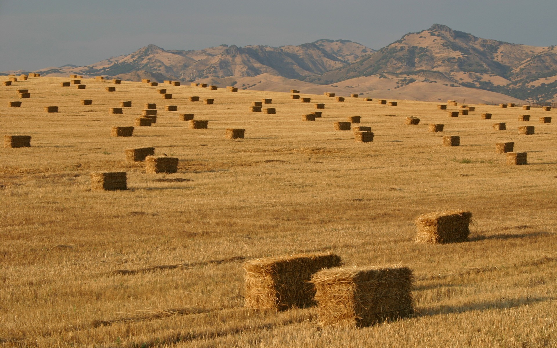 General 1920x1200 field haystacks mountains landscape outdoors