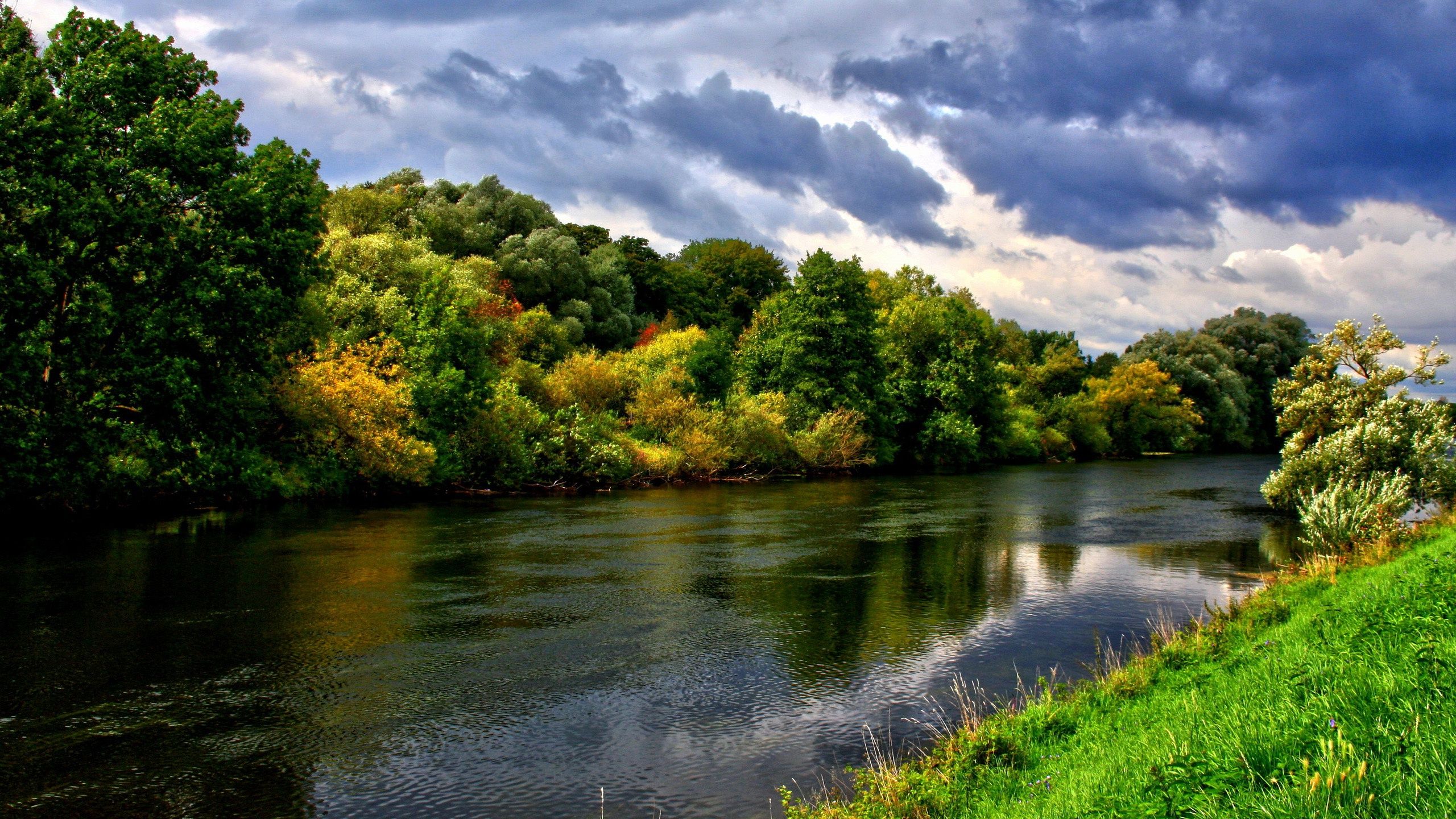 General 2560x1440 river forest nature water landscape trees sky clouds