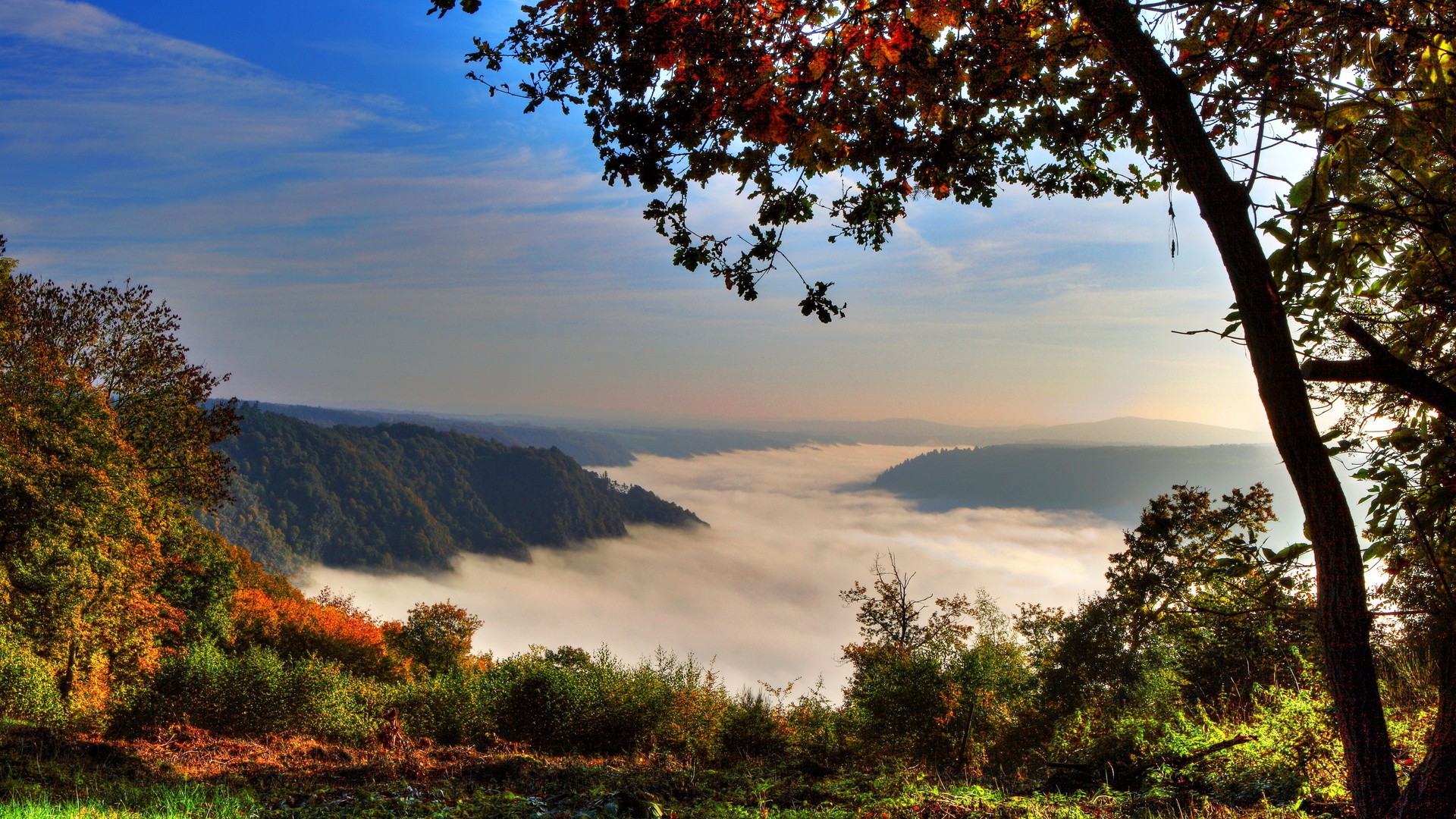 General 1920x1080 landscape trees red leaves clouds valley nature