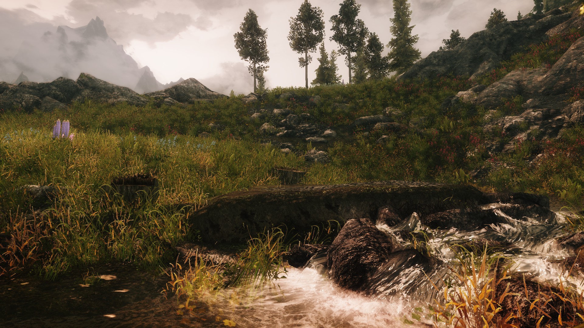General 1920x1080 The Elder Scrolls V: Skyrim nature landscape grass RPG video games screen shot PC gaming