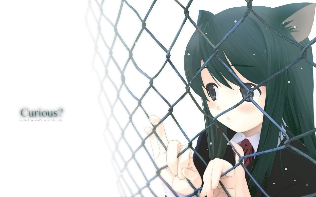 Anime 1280x800 anime girls manga fence anime animal ears metal grid simple background white background dark eyes