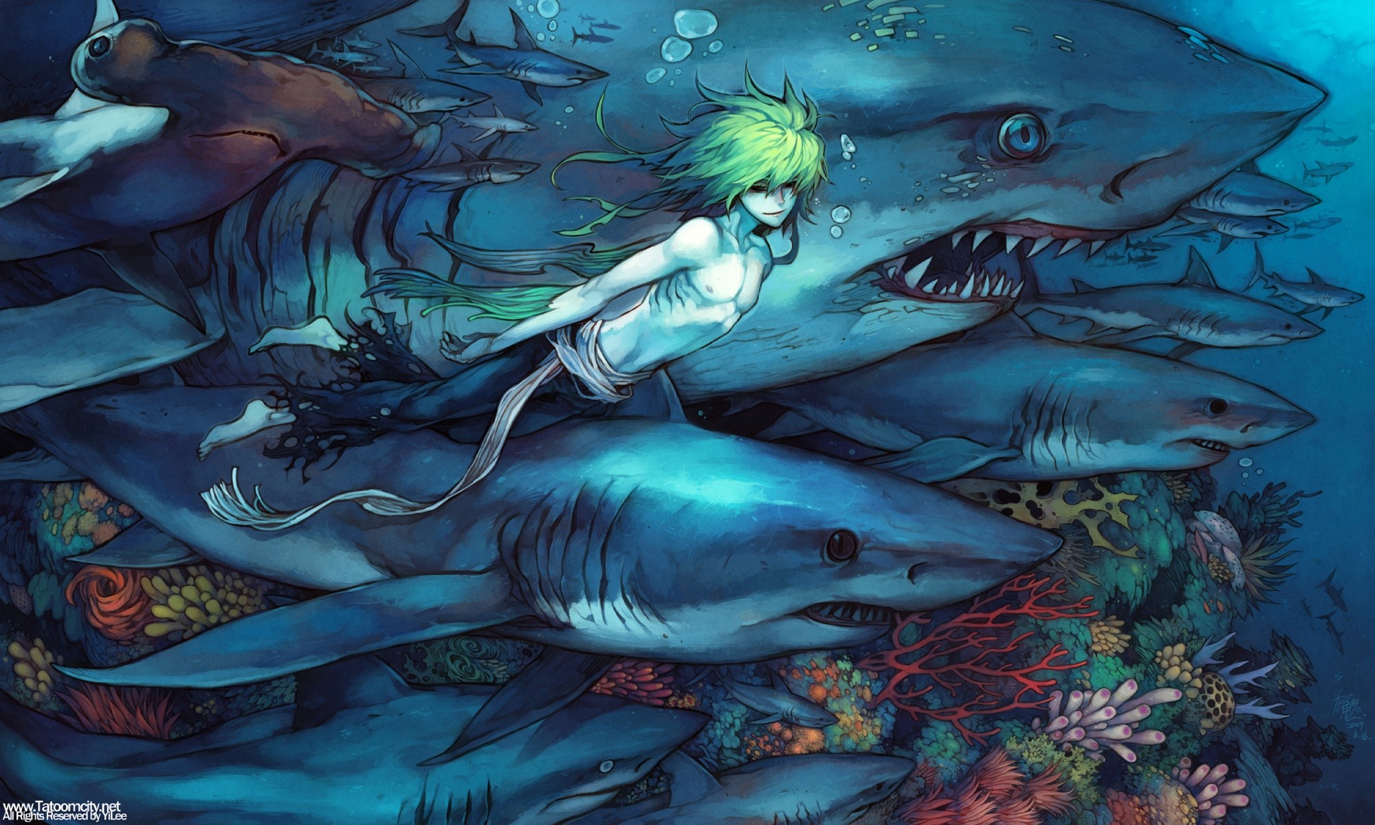 Anime 2000x1200 sea shark underwater animals fish artwork swimming diving plants