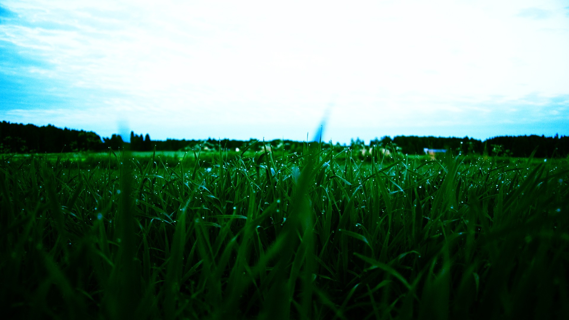 General 1920x1080 grass landscape water drops sky plants outdoors field