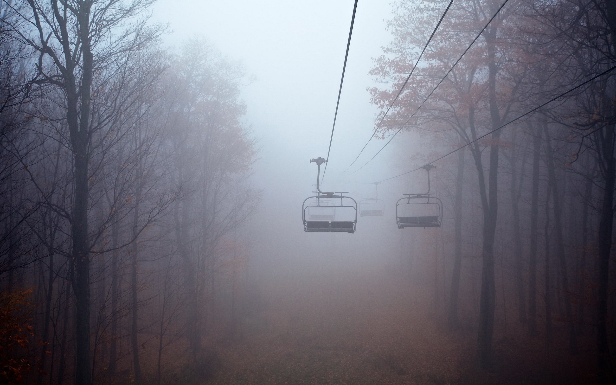 General 2560x1600 mist trees landscape forest Aspen cable car fall