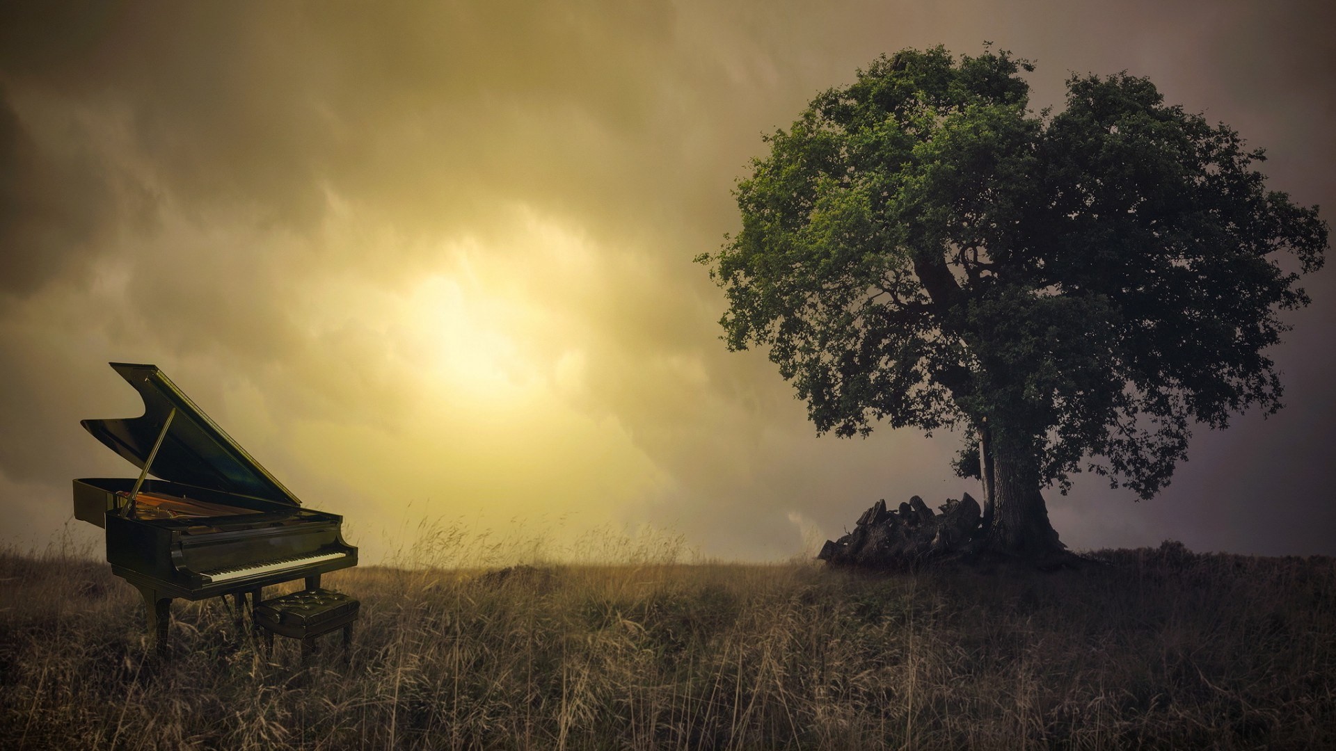 General 1920x1080 nature trees branch leaves photo manipulation piano field Sun clouds grass chair musical instrument digital art