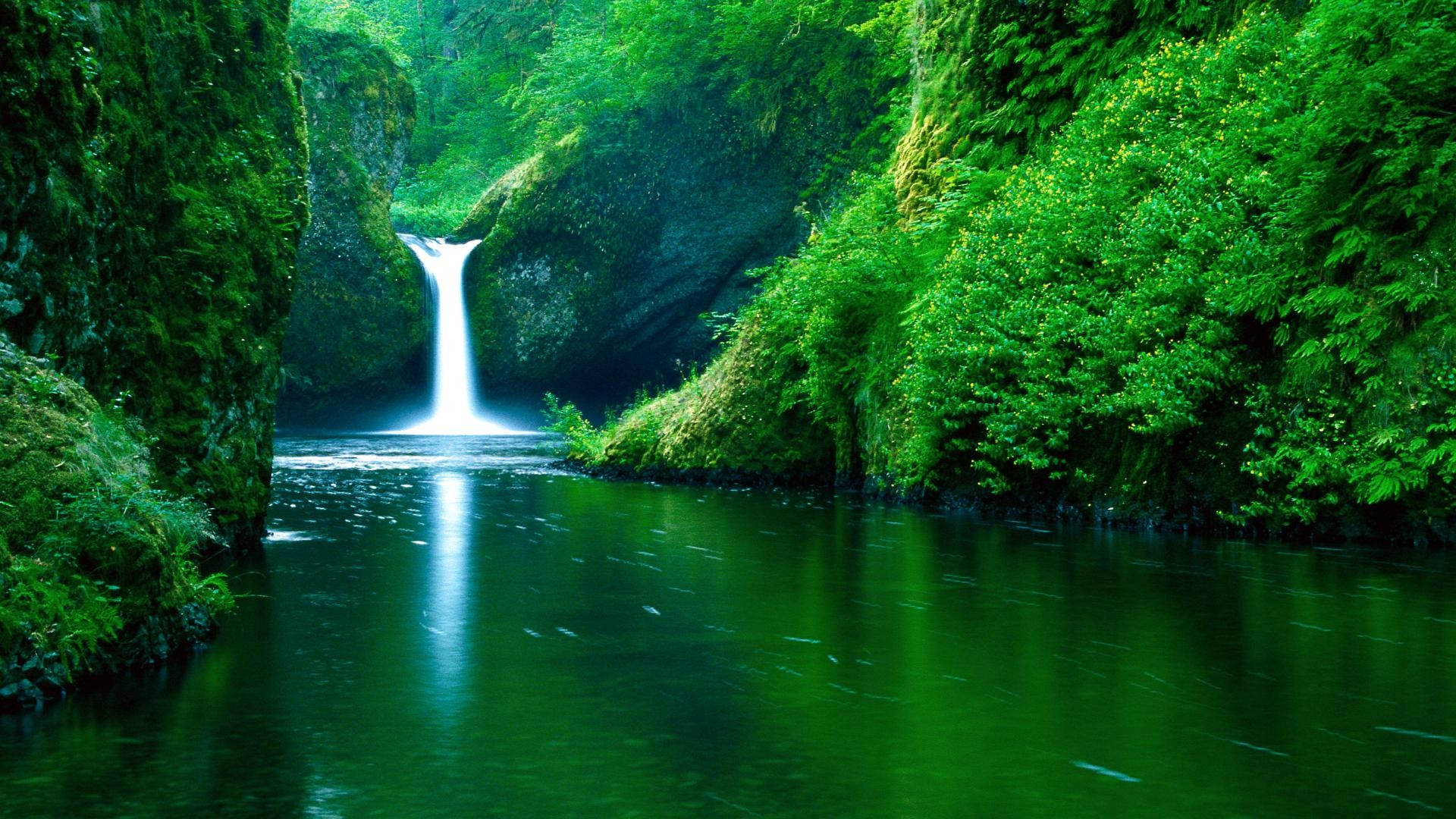 General 1920x1080 nature landscape green river forest waterfall water plants