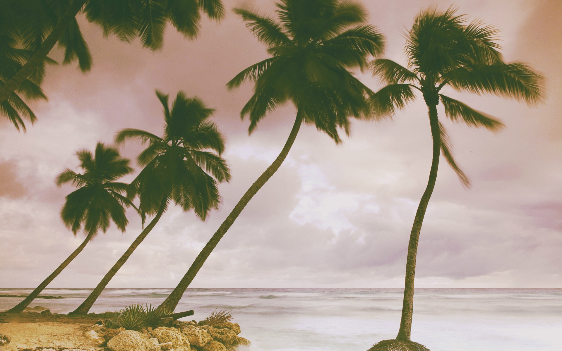 General 1920x1200 palm trees tropical sea low saturation sky horizon trees outdoors