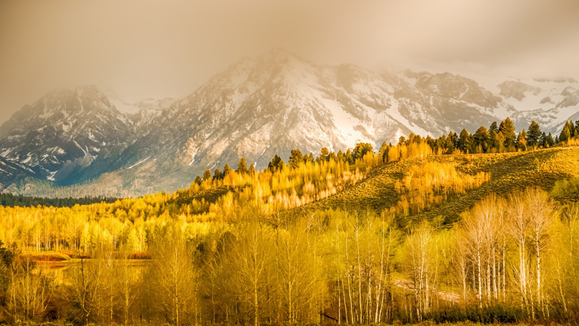 General 1920x1080 nature landscape mountains clouds trees forest hills grass Wyoming USA fall mist snowy peak birch