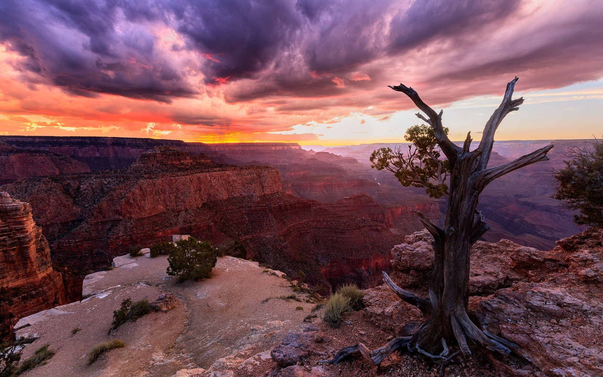 General 1920x1200 nature landscape sunset canyon clouds trees Grand Canyon USA Arizona dead trees rock formation