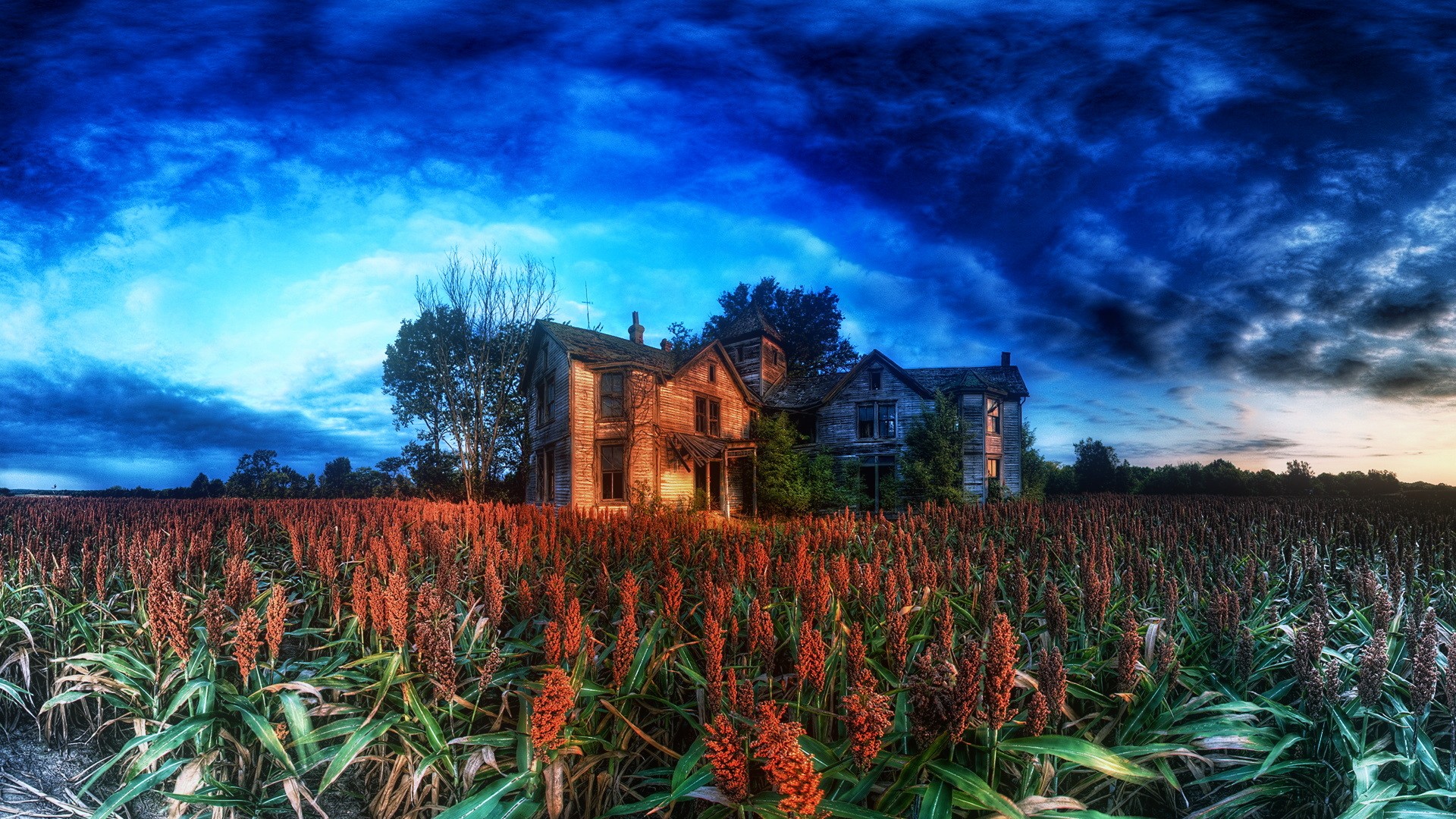 General 1920x1080 HDR clouds cabin plants trees abandoned sky landscape ruins