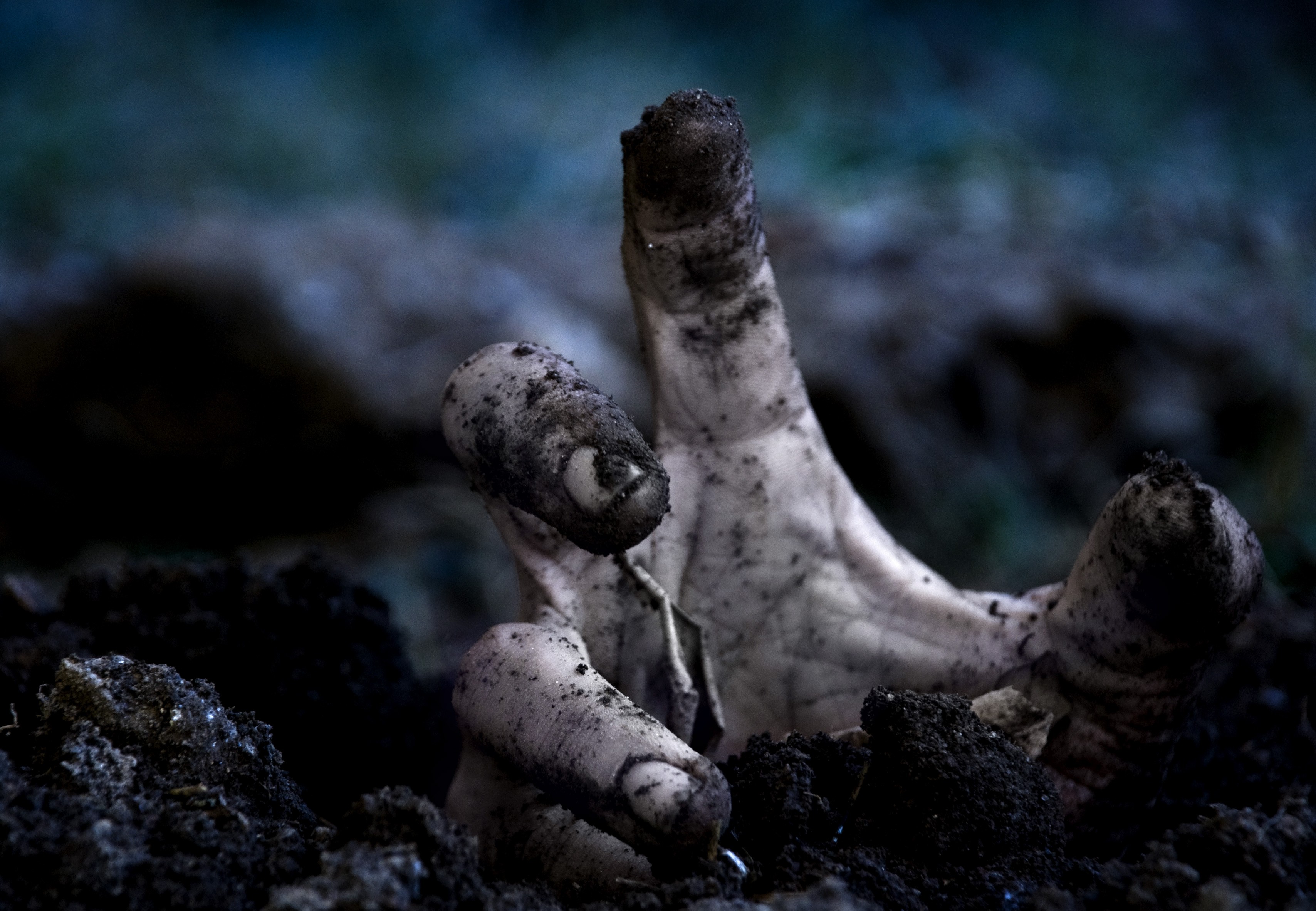 General 3416x2365 hands zombies horror dirt dark fingers creepy