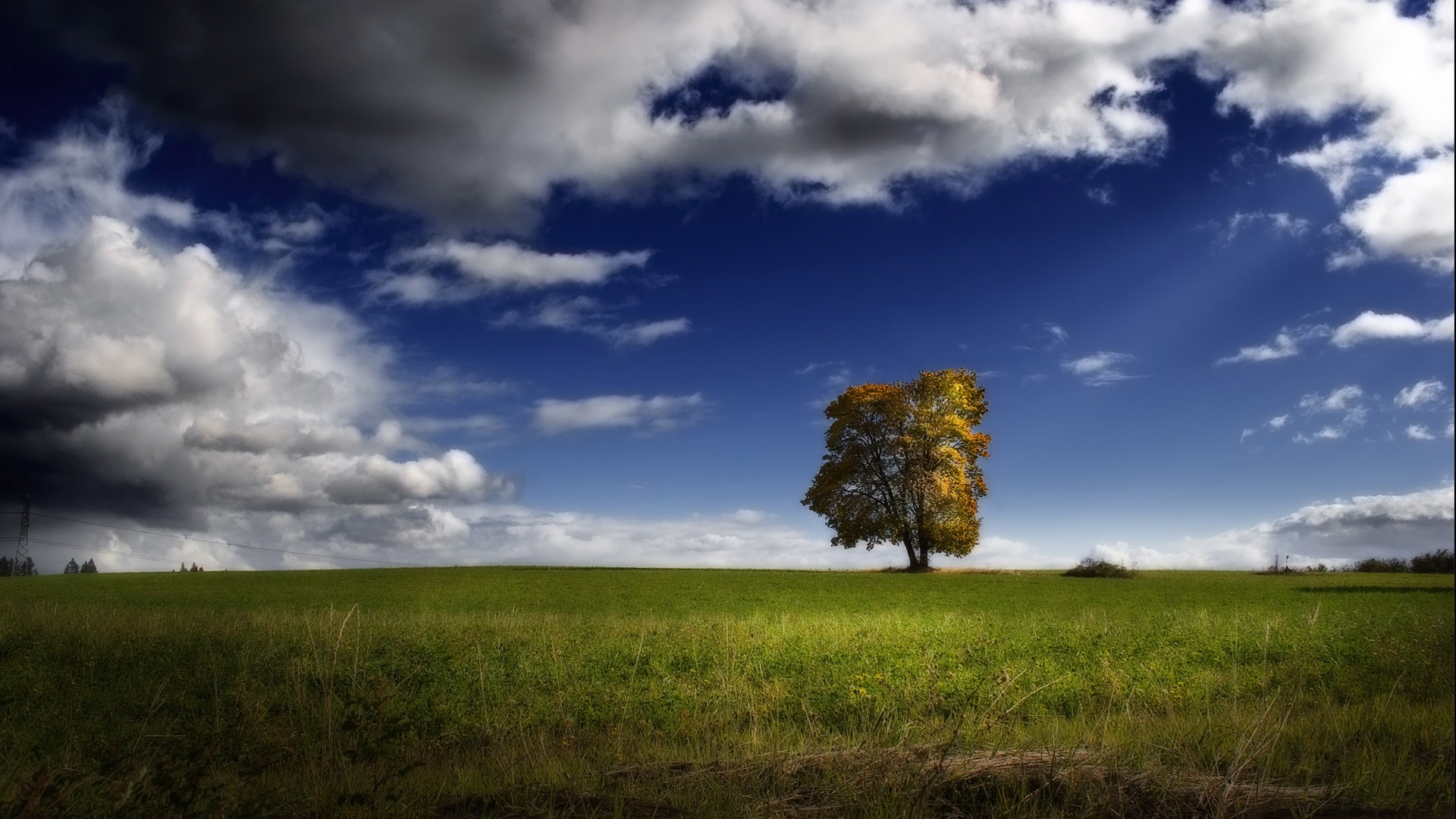 General 1920x1080 landscape nature trees grass clouds sky outdoors