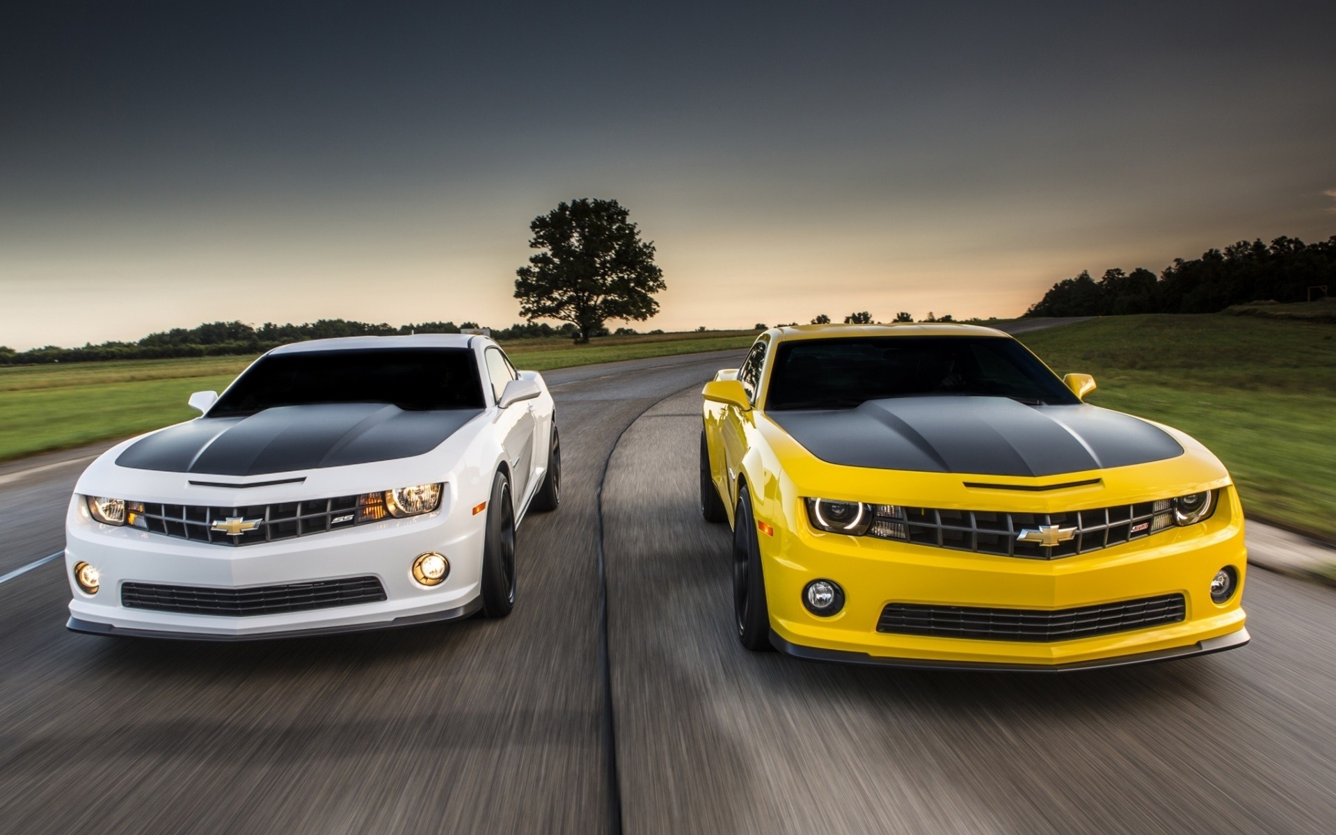 General 1920x1200 Chevrolet Camaro Chevrolet white cars yellow cars car vehicle muscle cars American cars
