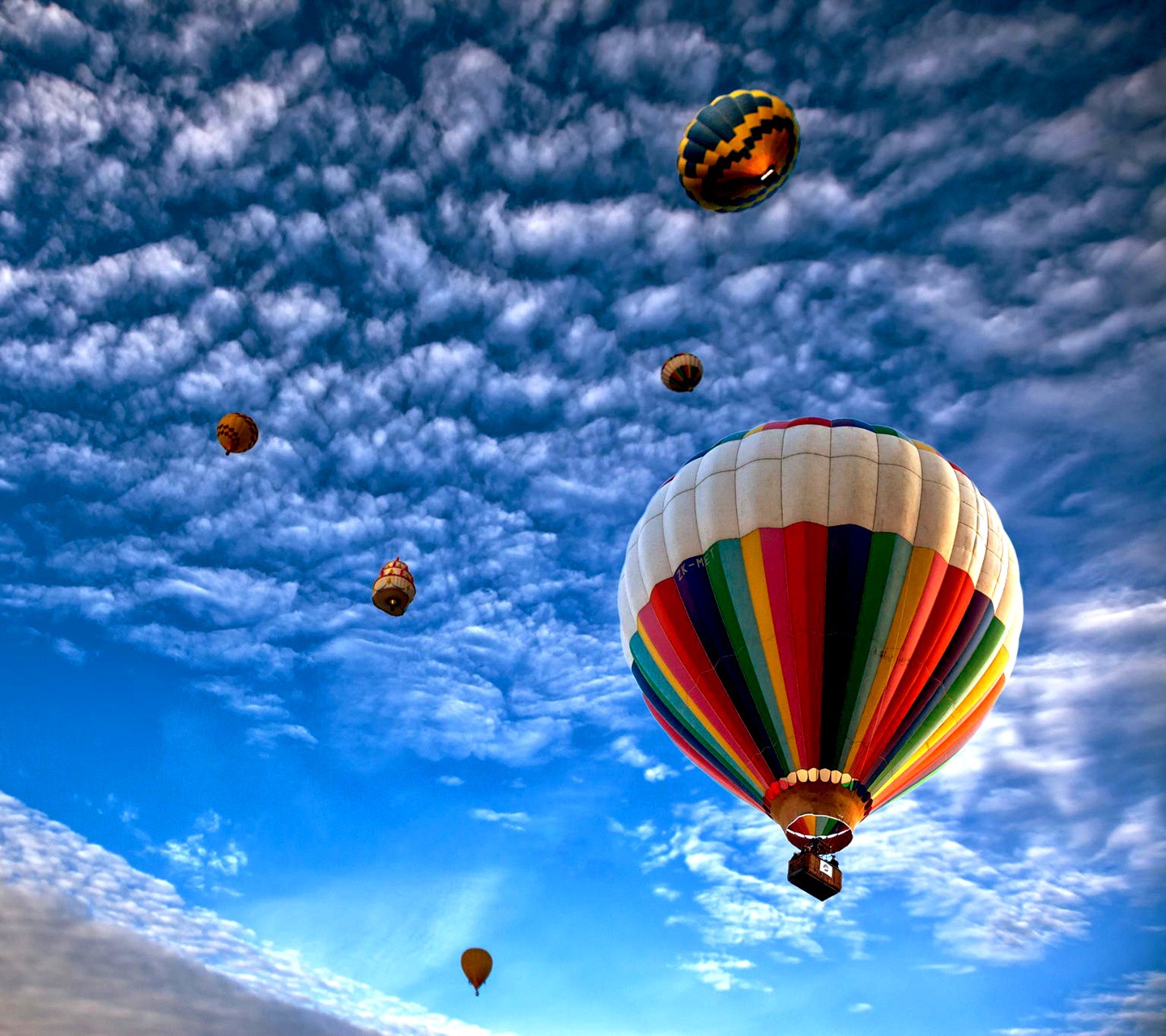 General 1440x1280 hot air balloons skyscape vehicle sky