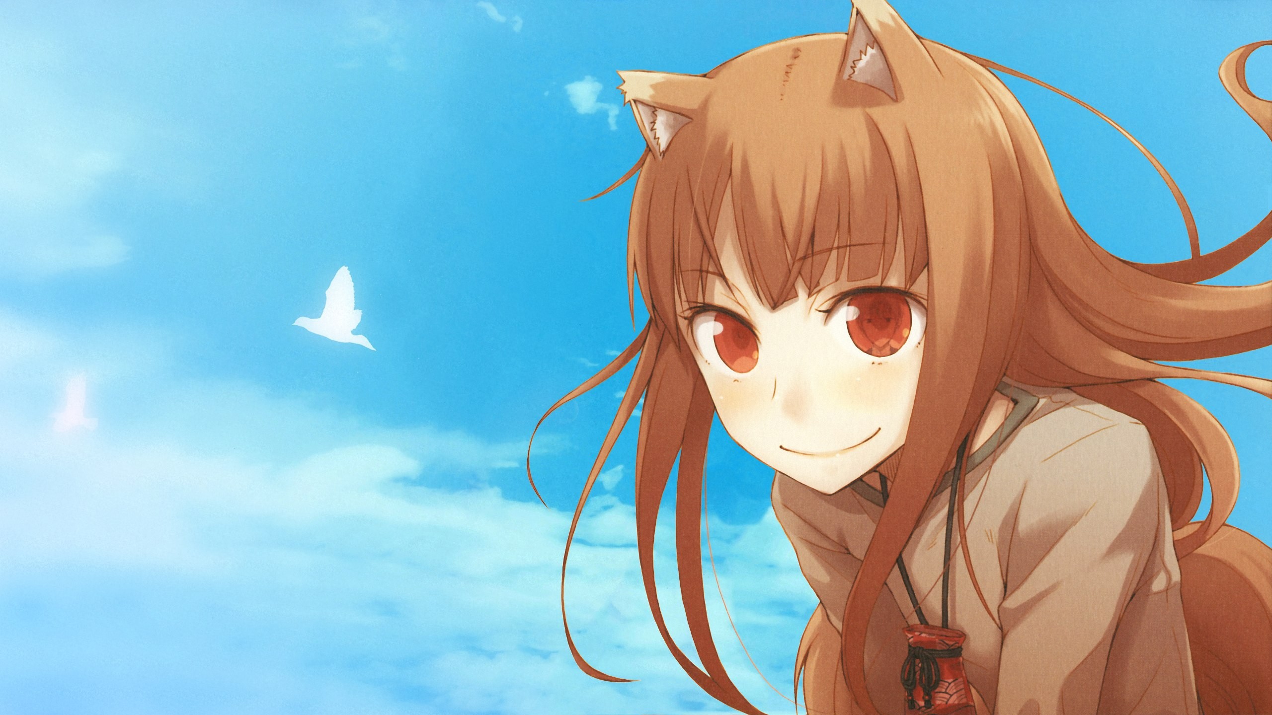 Anime 2560x1440 Spice and Wolf Holo (Spice and Wolf) wolf girls anime girls red eyes smiling sky birds face long hair animal ears