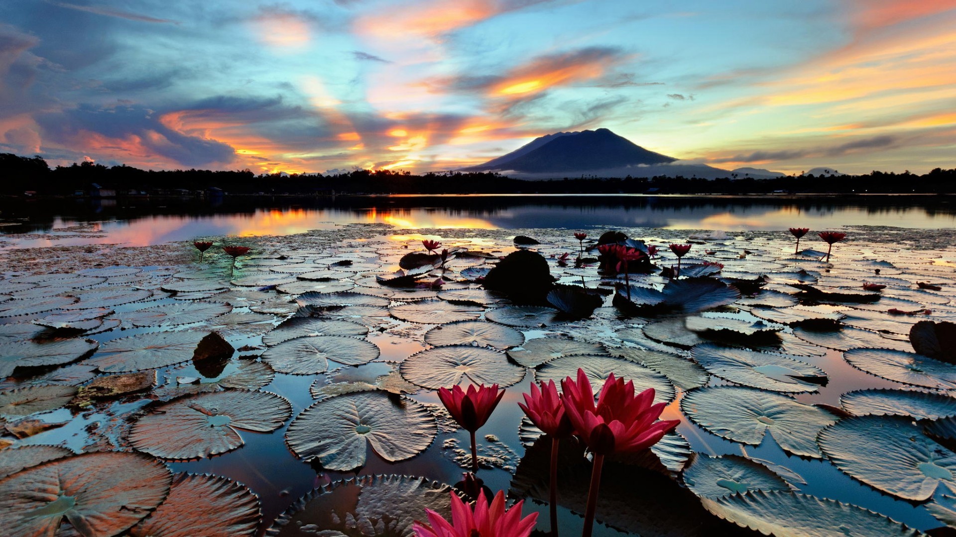 General 1920x1080 nature landscape water lake hills trees flowers lotus flowers forest mist clouds sunset reflection silhouette leaves house water lilies Philippines