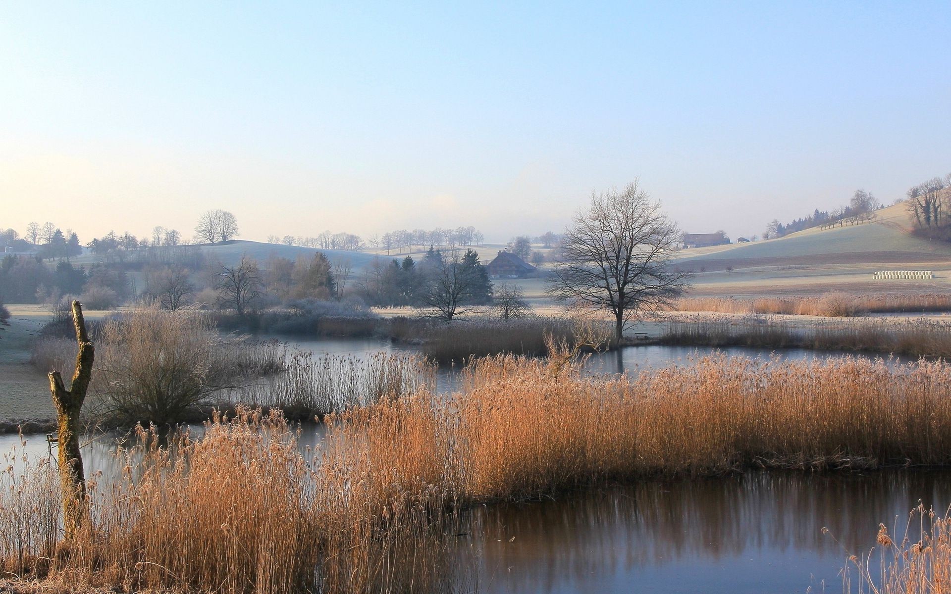 General 1920x1200 landscape lake reeds field trees farm pond frost nature morning