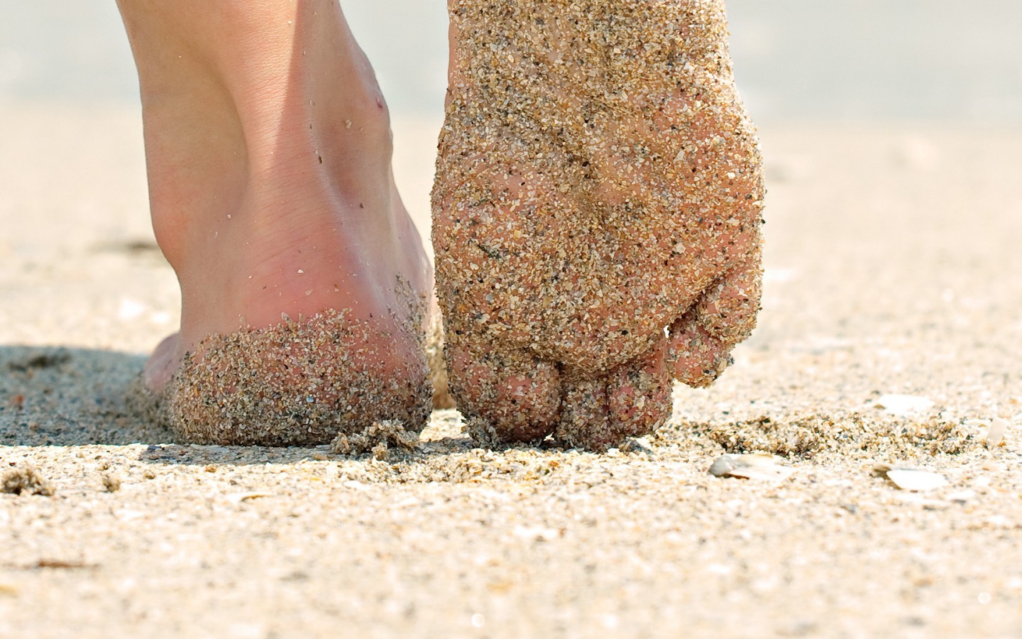 People 1440x900 sand feet barefoot worm's eye view closeup sand covered women outdoors outdoors women on beach women