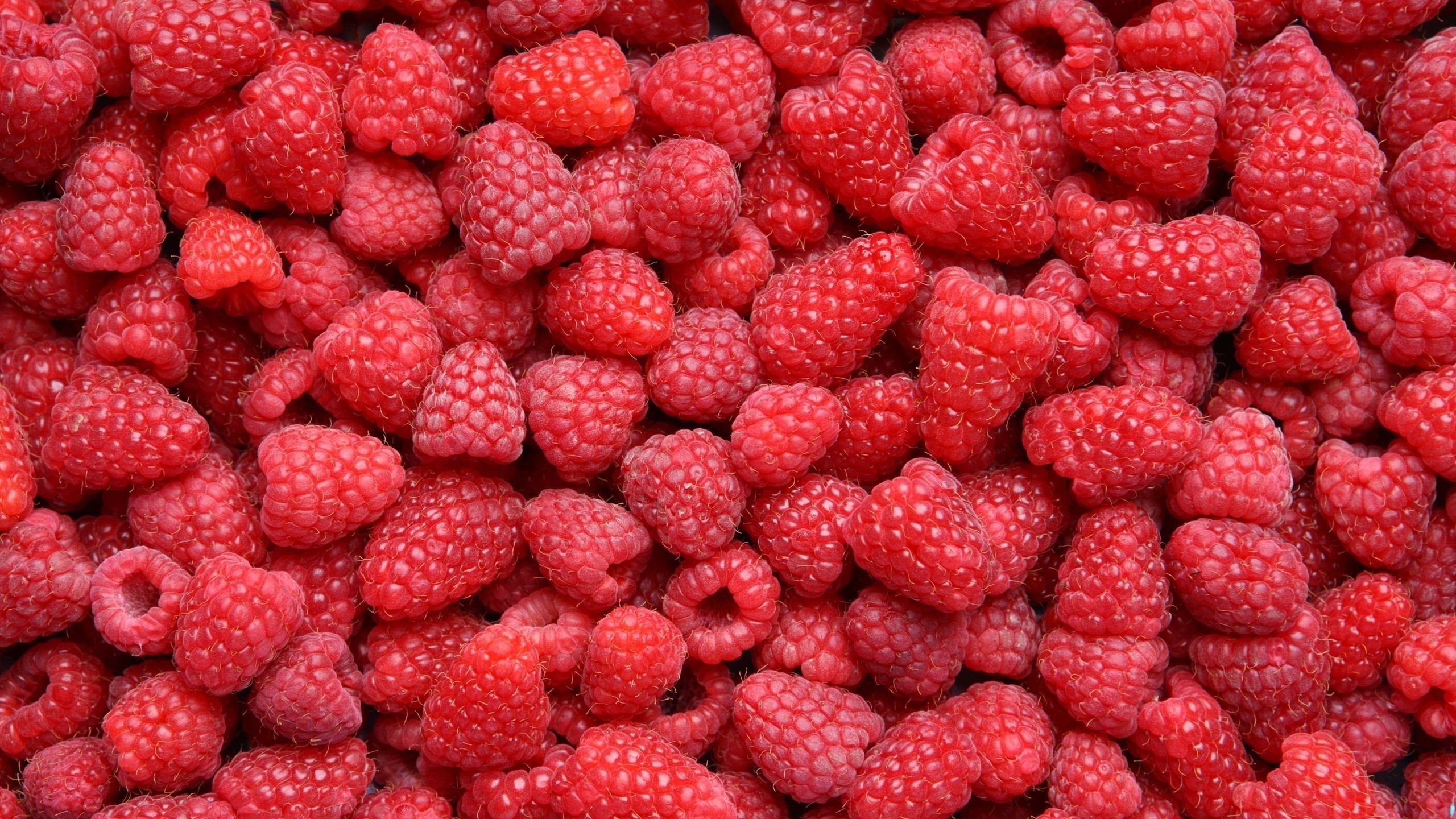 General 2560x1440 food raspberries berries fruit red closeup