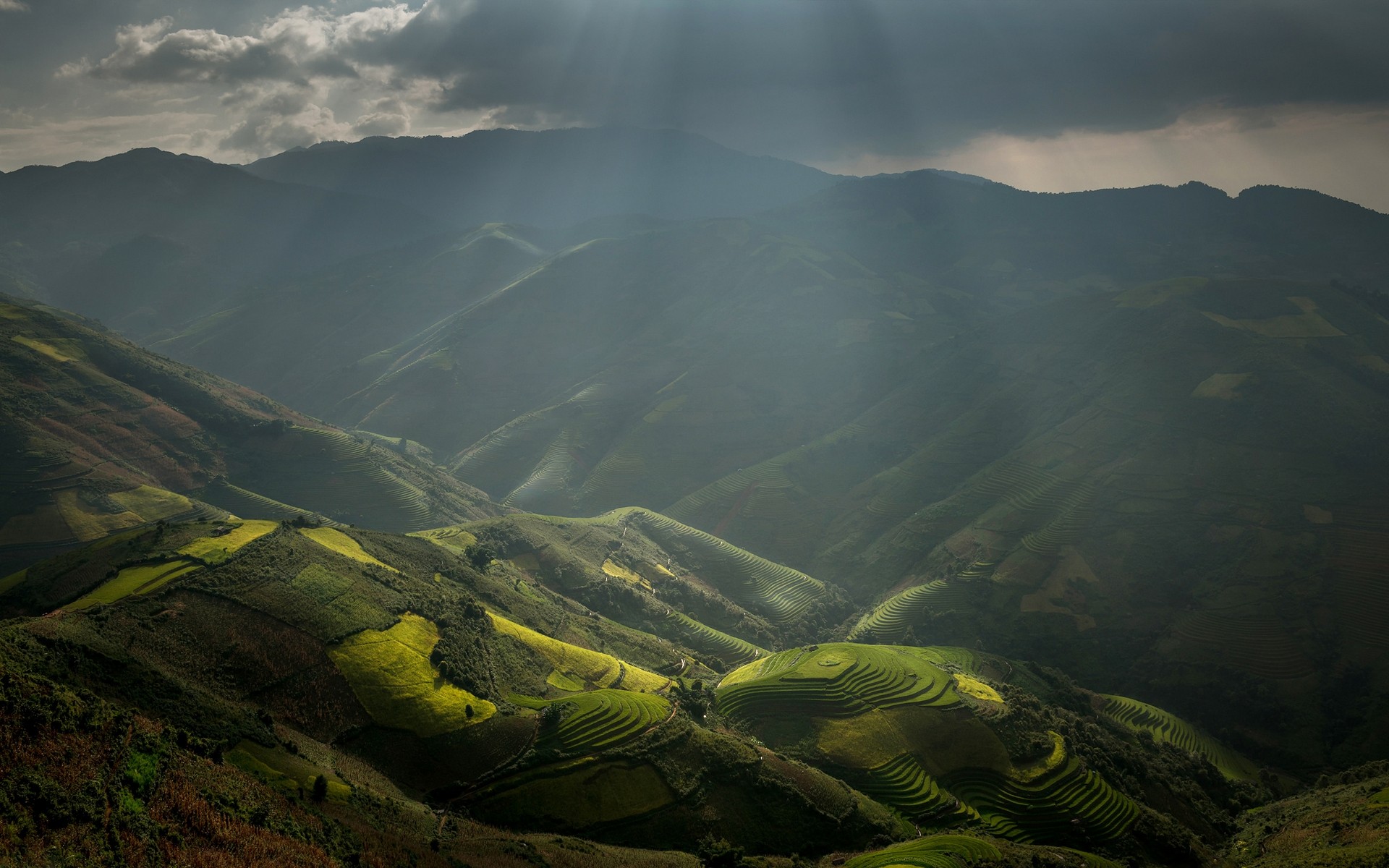 General 1920x1200 nature landscape rice fields sun rays mountains terraces field clouds mist valley Vietnam Asia