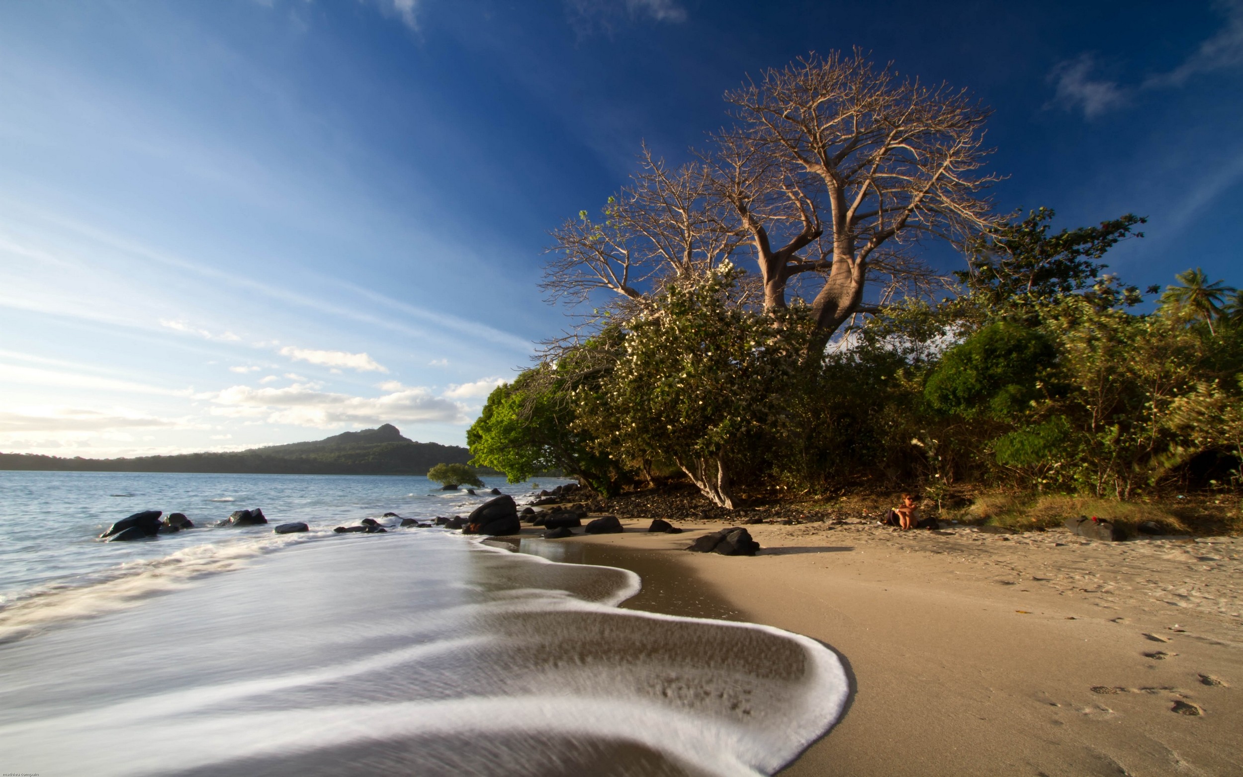 General 2500x1563 nature landscape beach sea sand sunset trees shrubs island