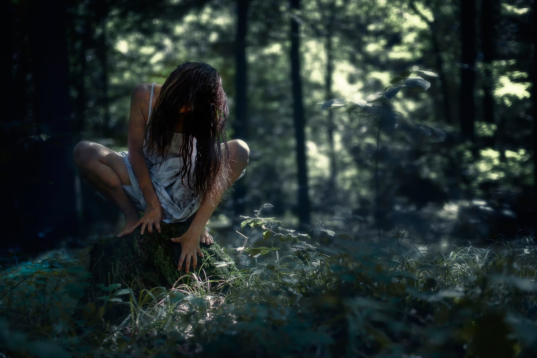 People 2048x1365 women nature spooky long hair women outdoors forest squatting hair in face plants model