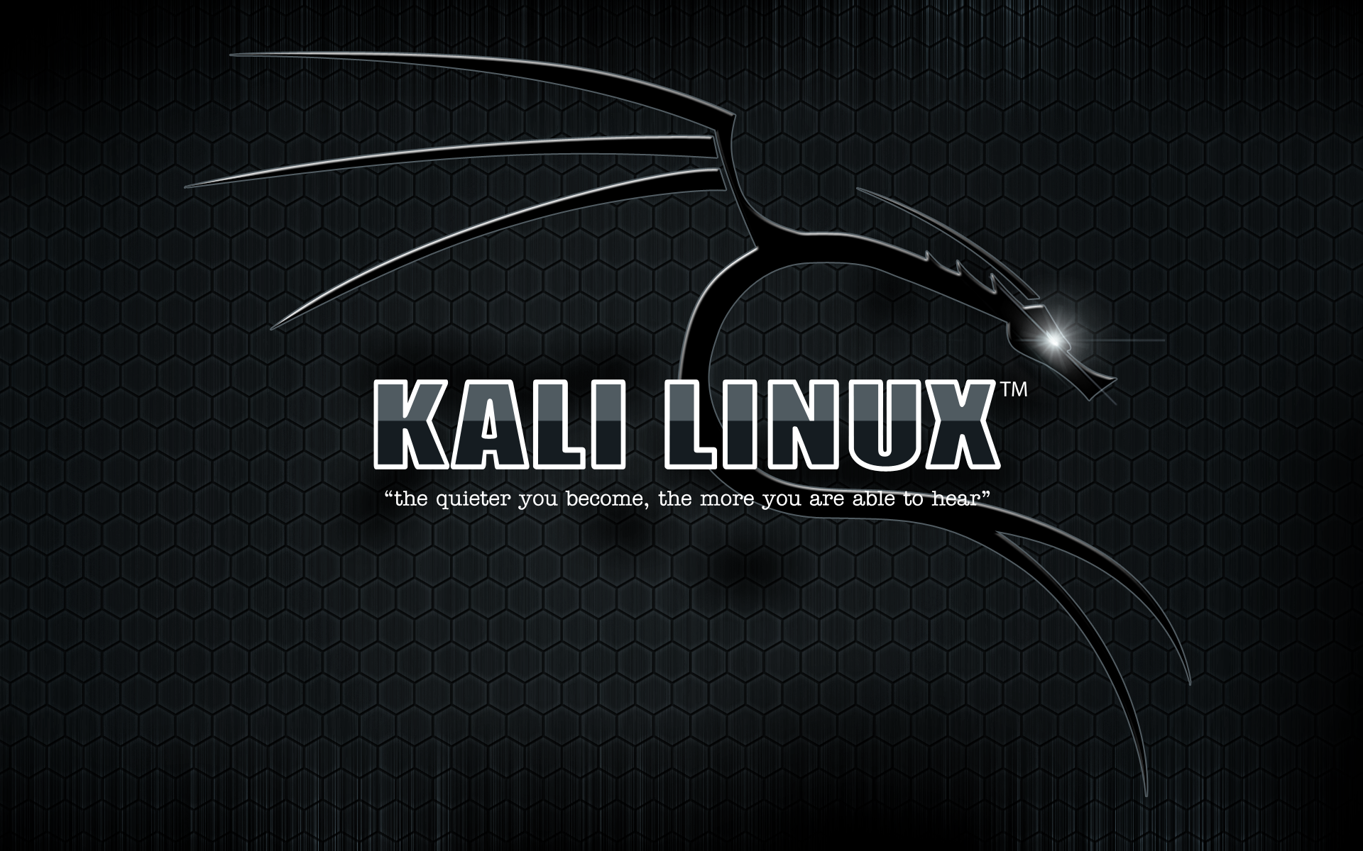 General 1920x1200 Kali Linux texture typography Linux