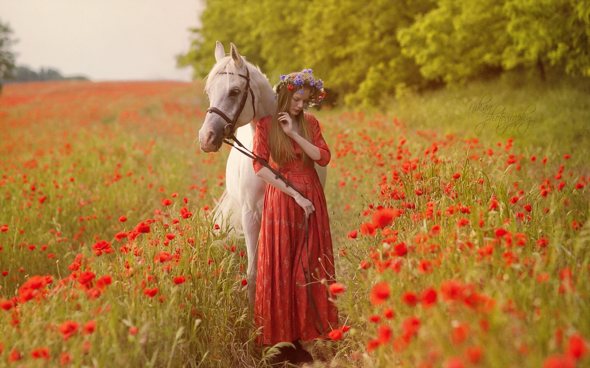 People 1920x1200 women outdoors horse nature flowers animals poppies women women with horse mammals field flower crown outdoors dress red dress red clothing standing