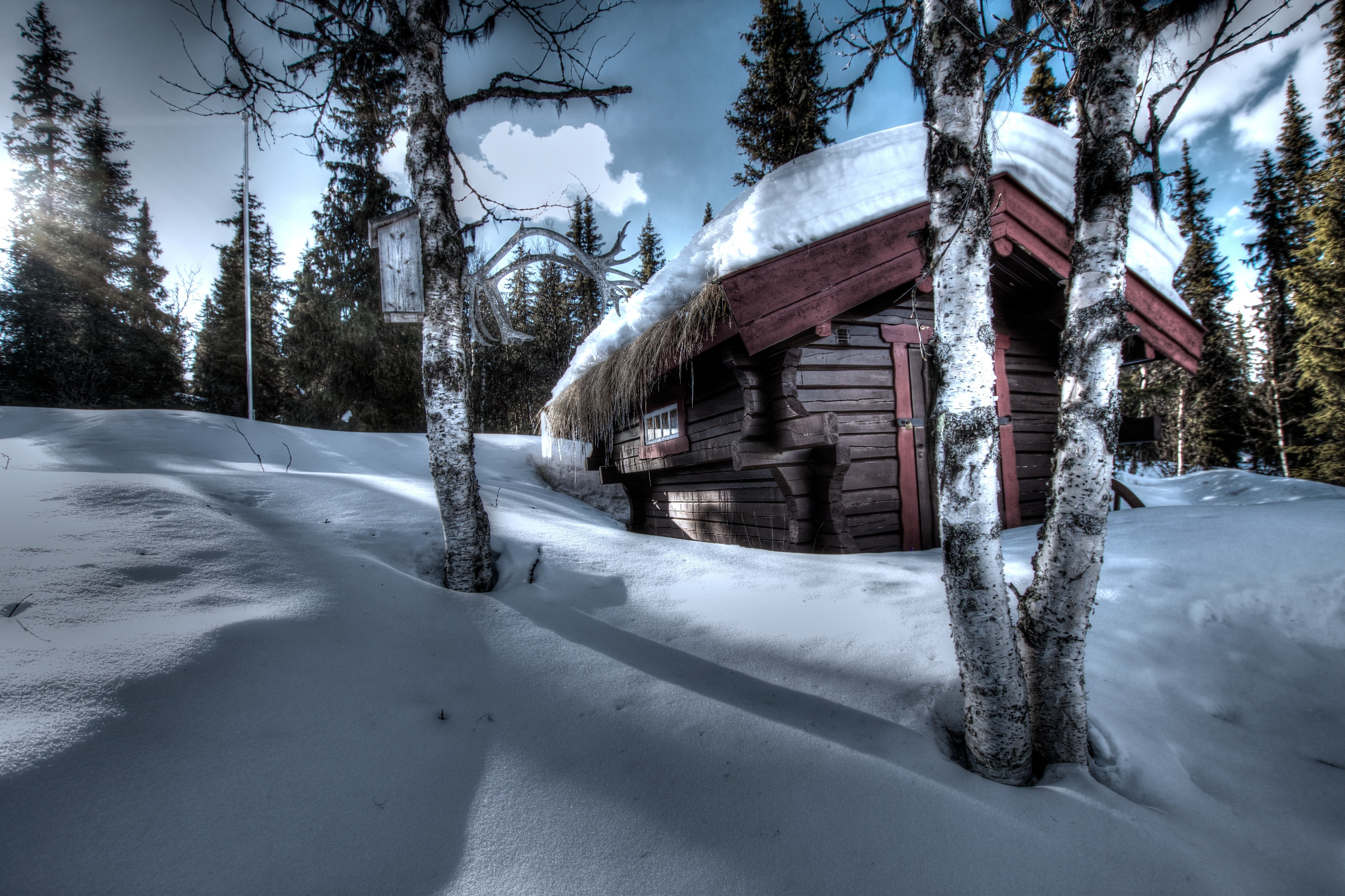 General 4752x3168 winter snow trees hut outdoors sauna