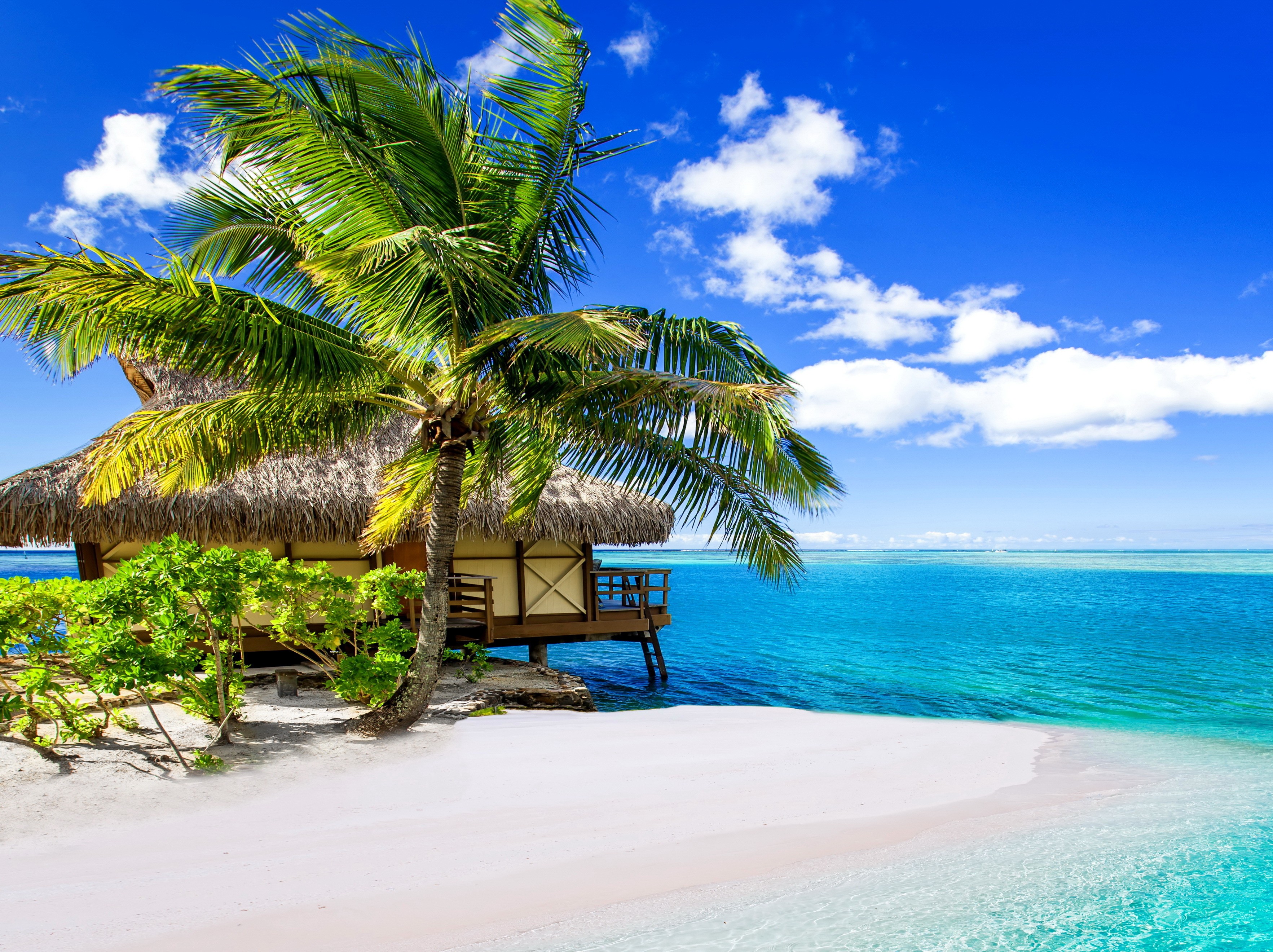 General 3530x2640 palm trees sea island bungalow beach landscape vibrant tropical horizon water sky clouds sand